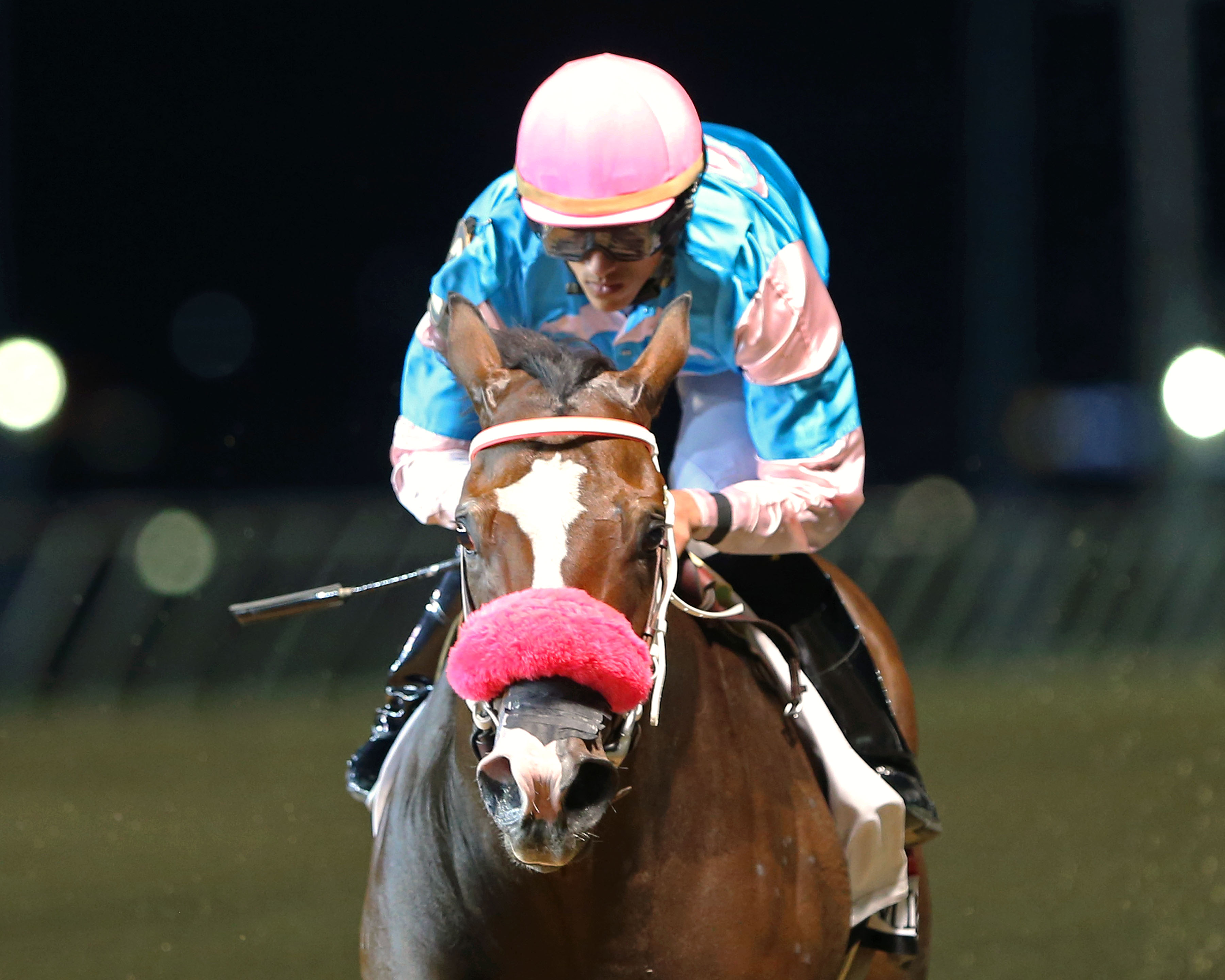 Miss Behaviour wins 2014 Charles Town Oaks