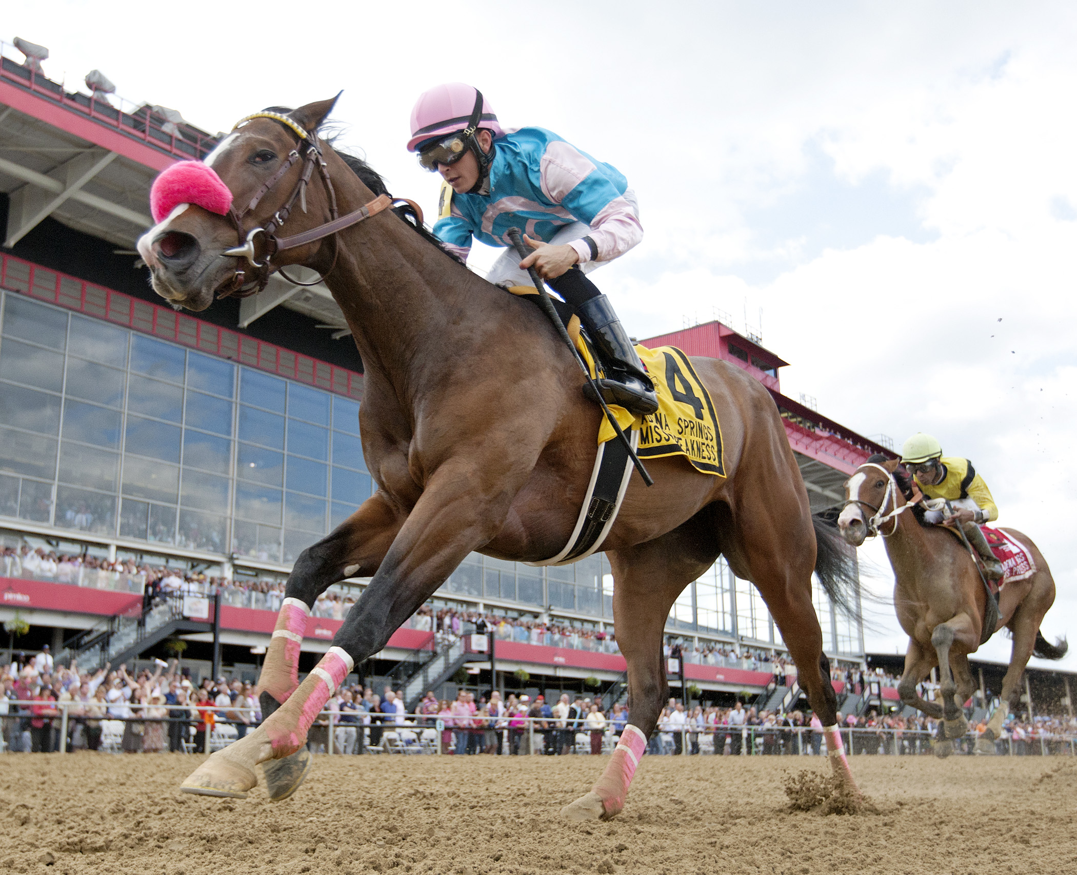 Miss Behaviour, Miss Preakness Stakes