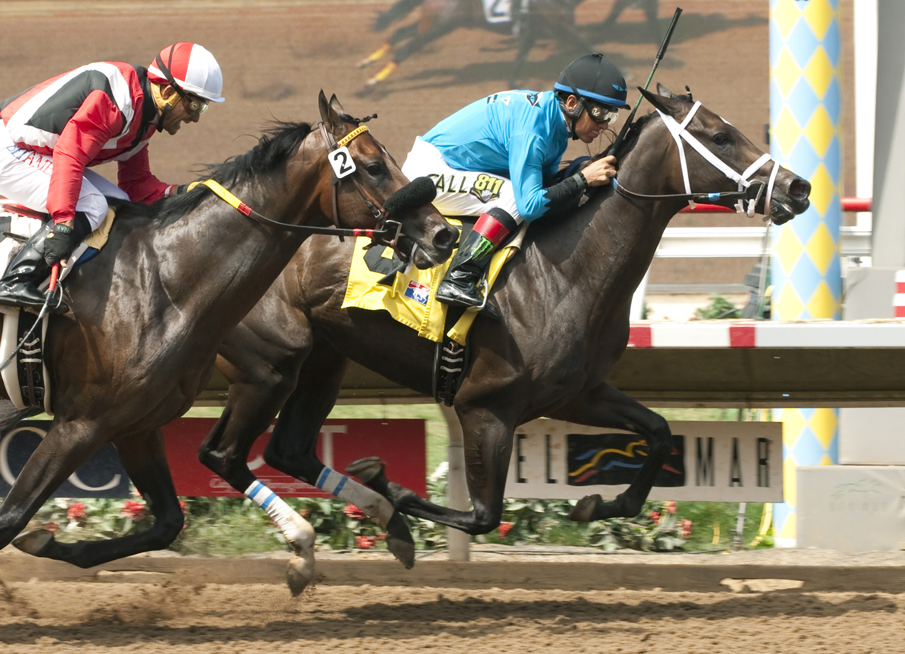Miss Big Stuff wins a maiden race
