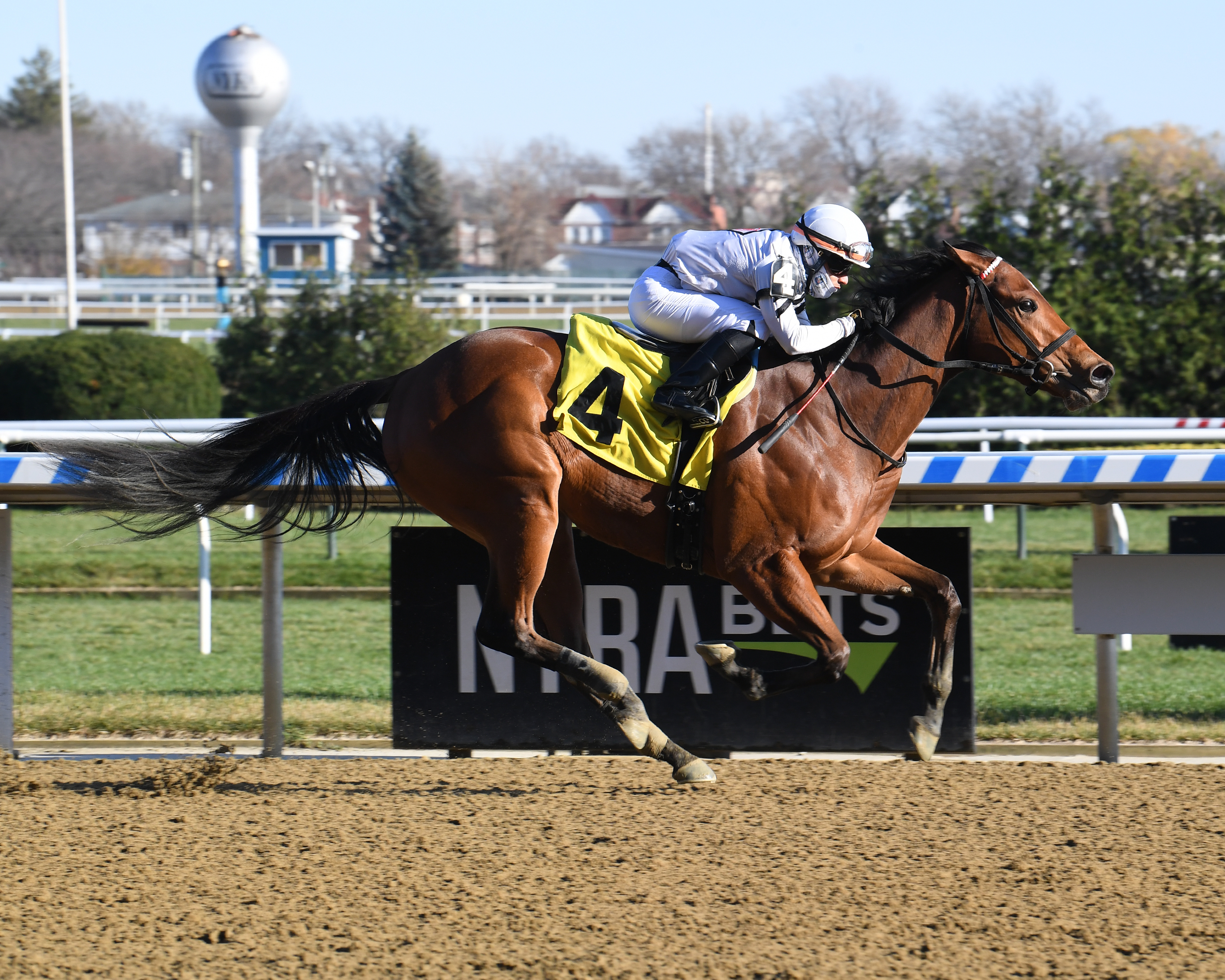Miss Brazil wins a Nov. 29 maiden race at Aqueduct