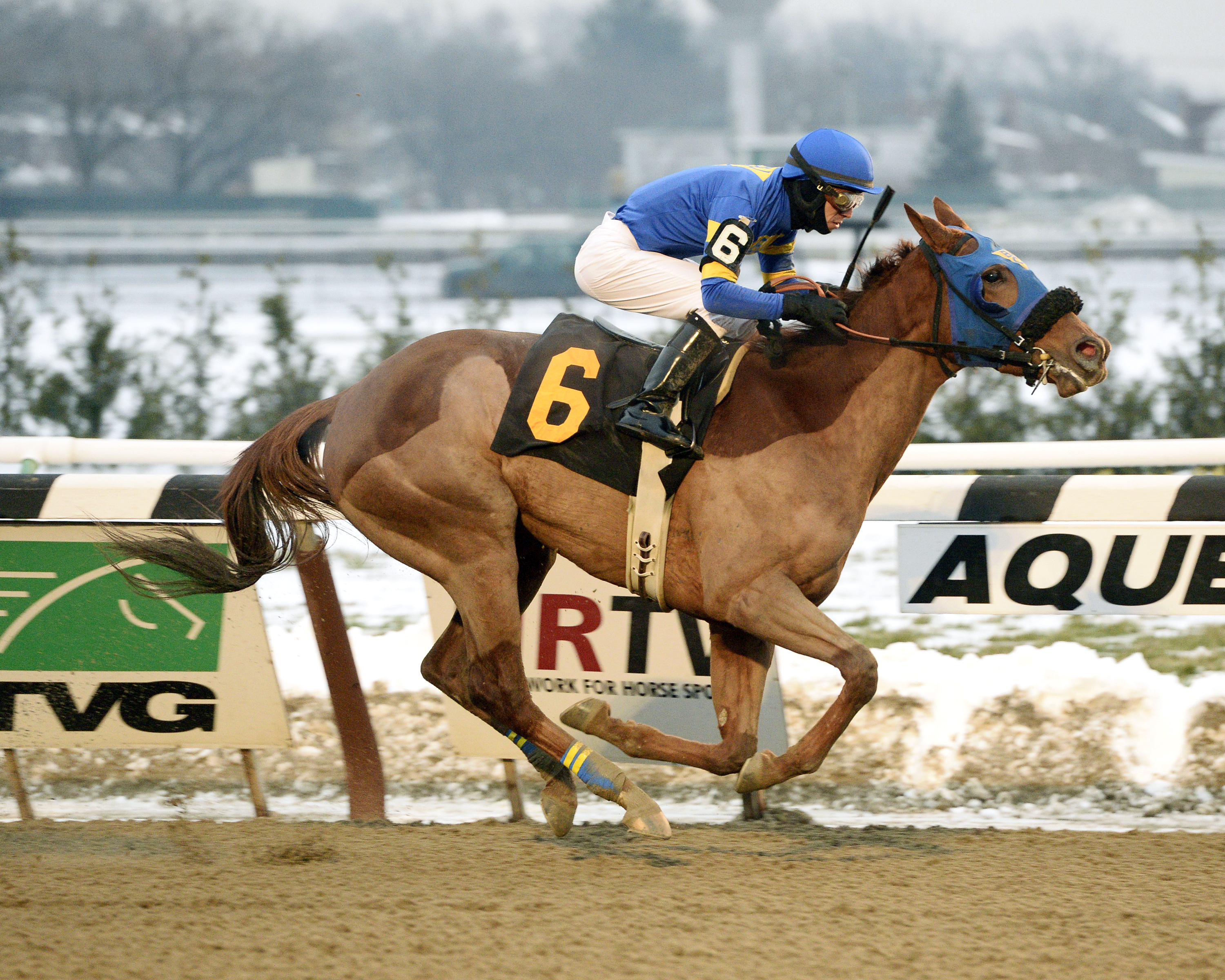 Miss Da Point wins the Judy Soda Stakes
