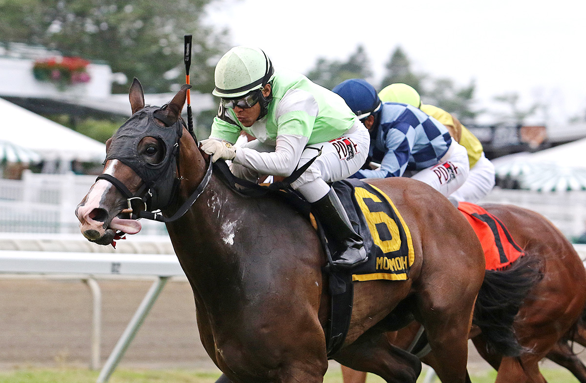 Miss Deplorable wins the 2018 Blue Sparkler Stakes