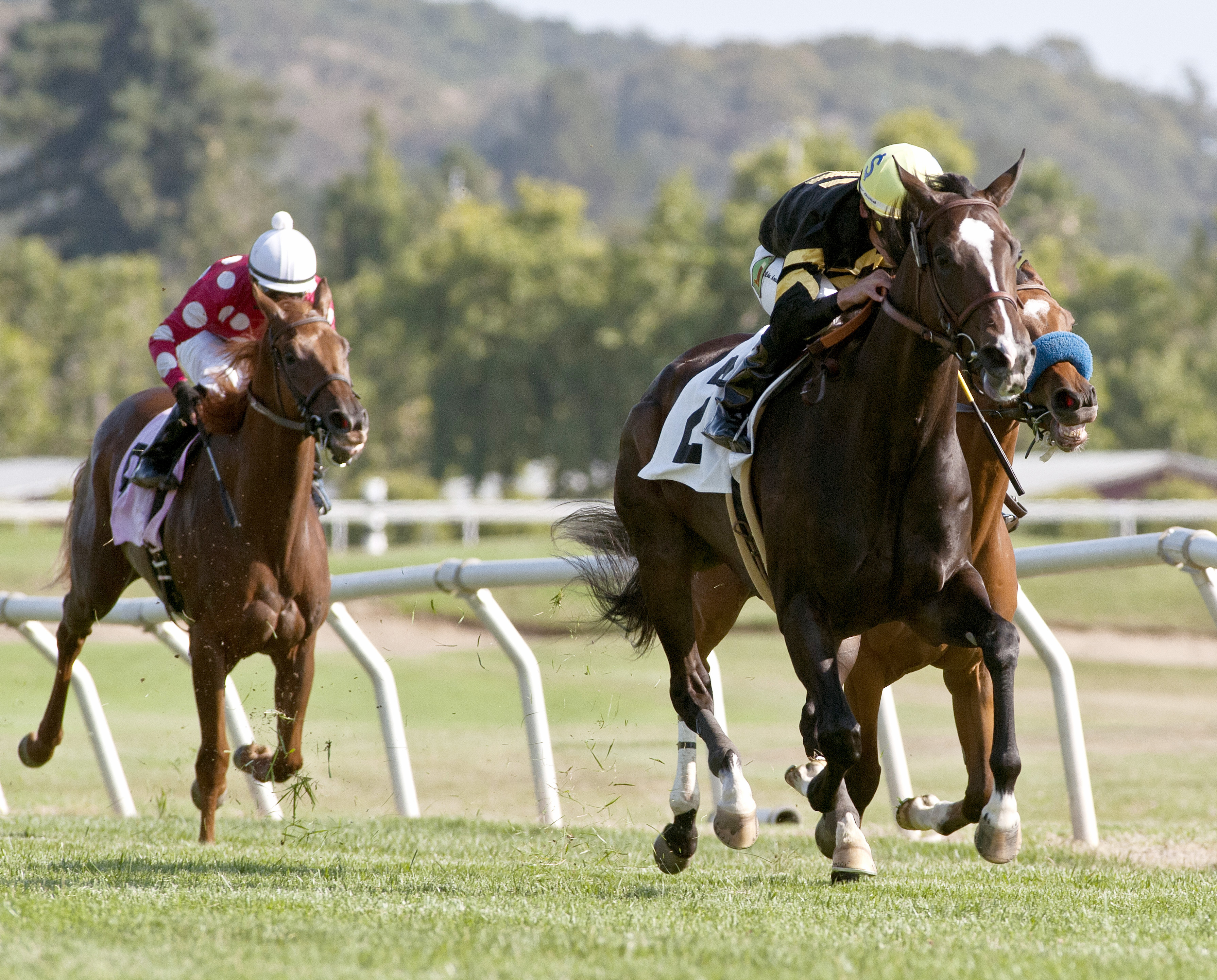 Miss Double d'Oro wins the Wine County Stakes
