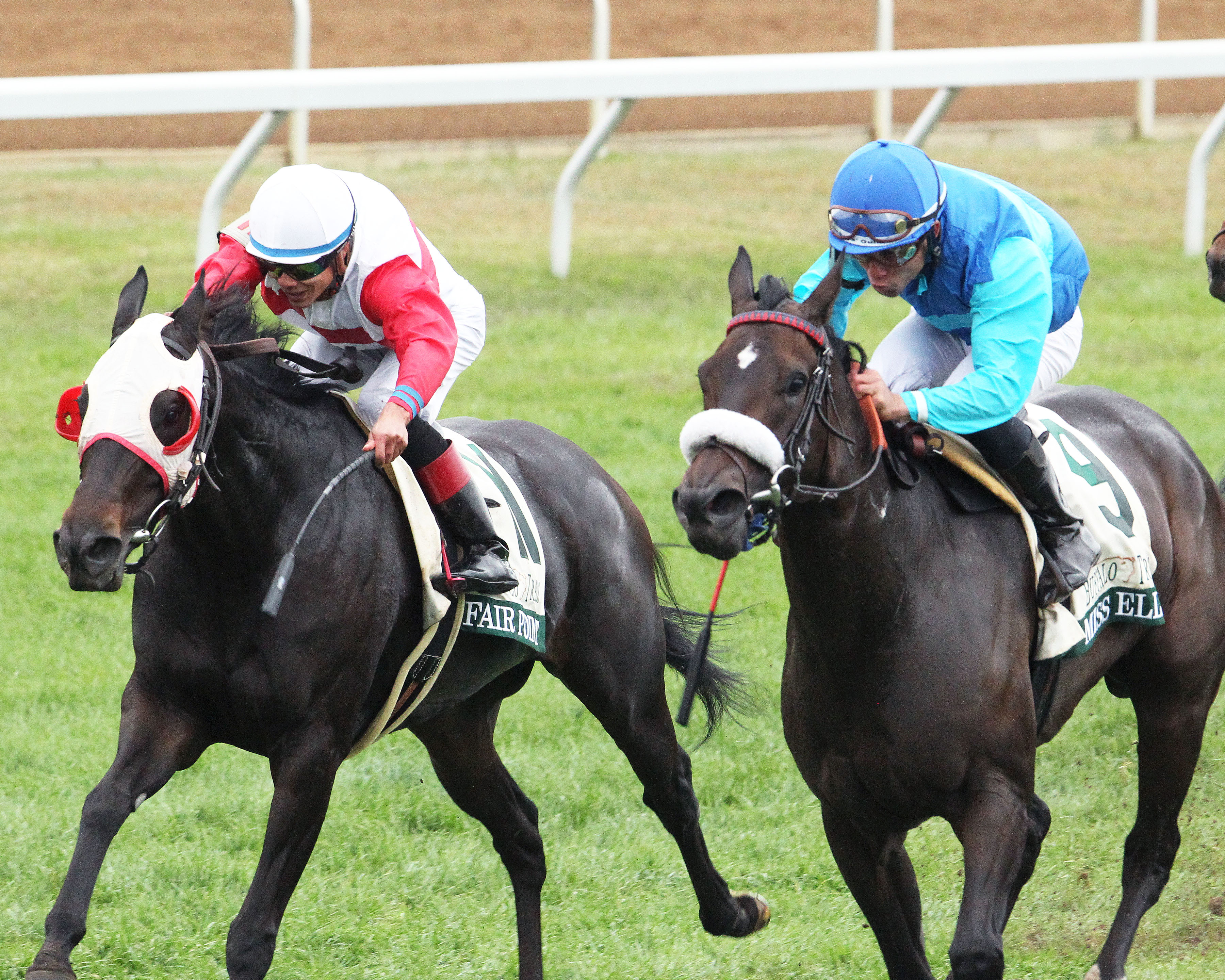 Miss Ella wins the 2016 Franklin County Stakes