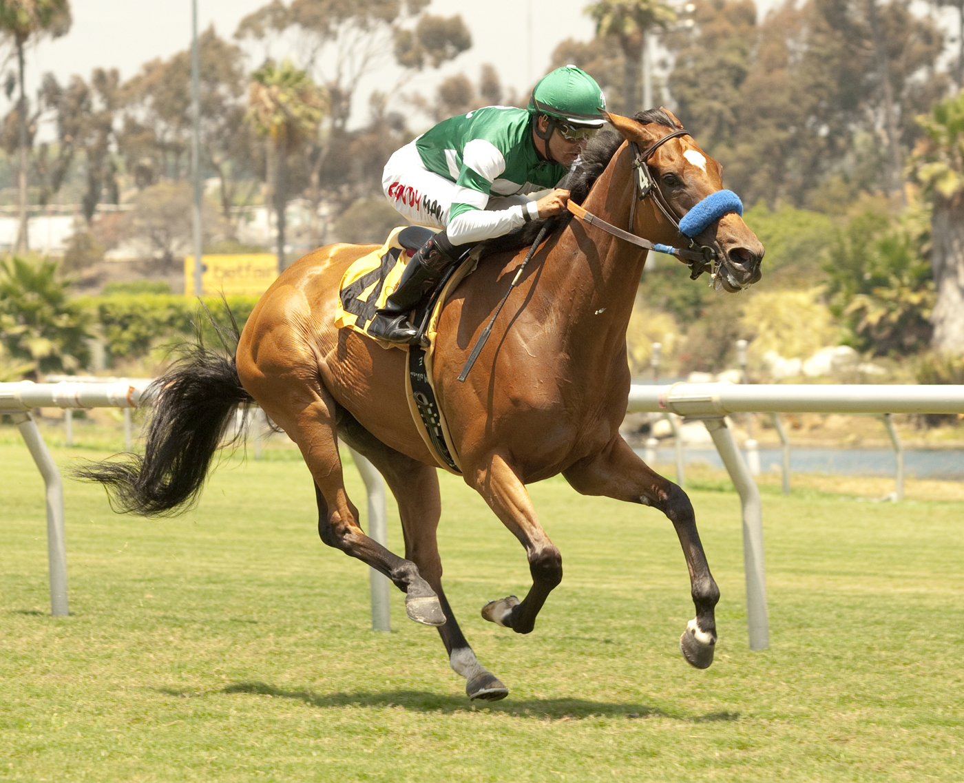 Miss Ellany, allowance win