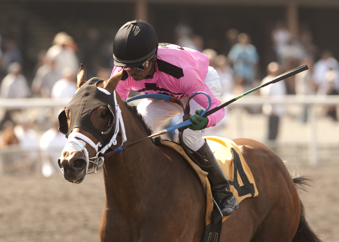 Miss Empire, Cinderella Stakes