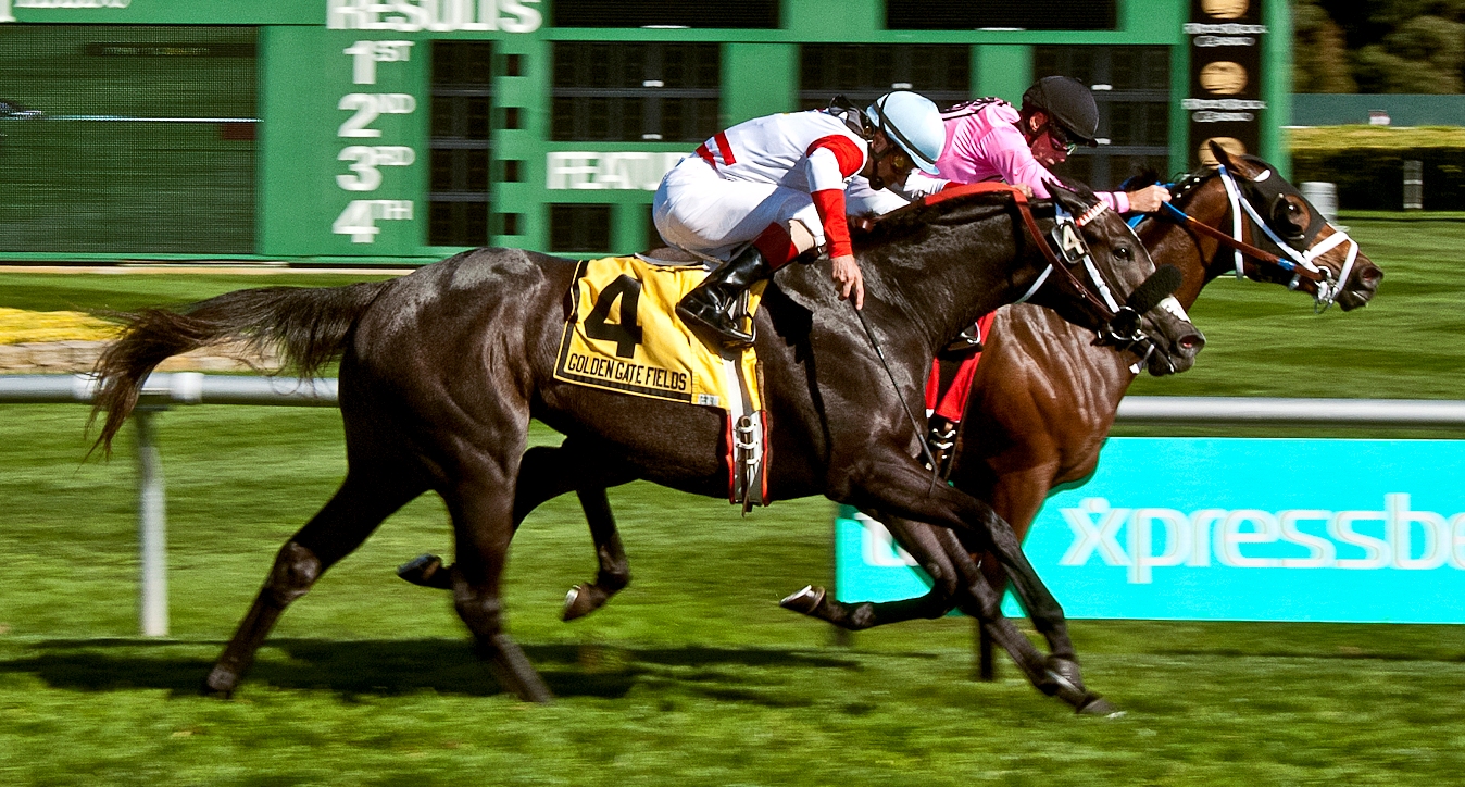 Miss Empire (inside), Pike Place Dancer Stakes