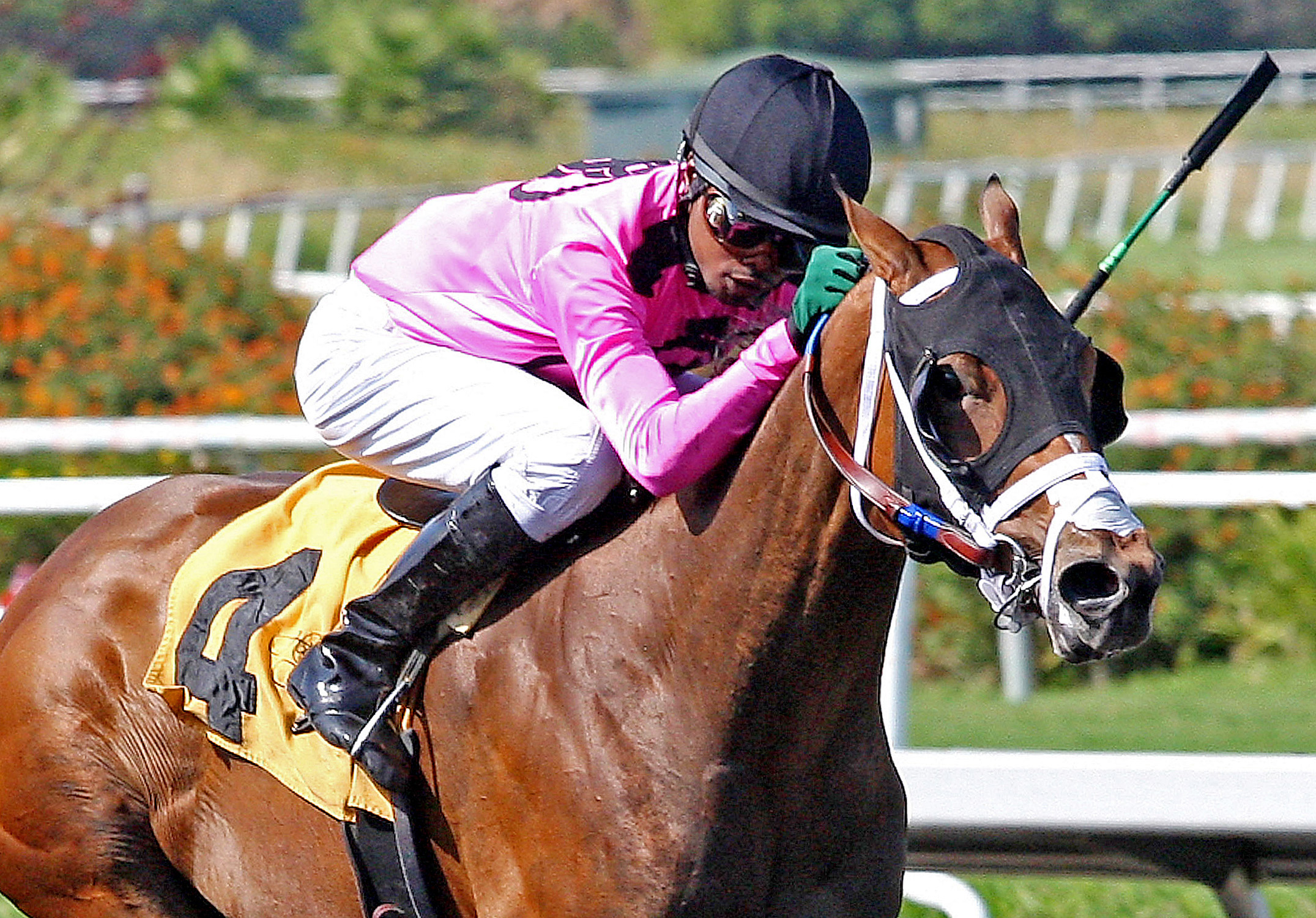 Miss Empire/Cinderella Stakes