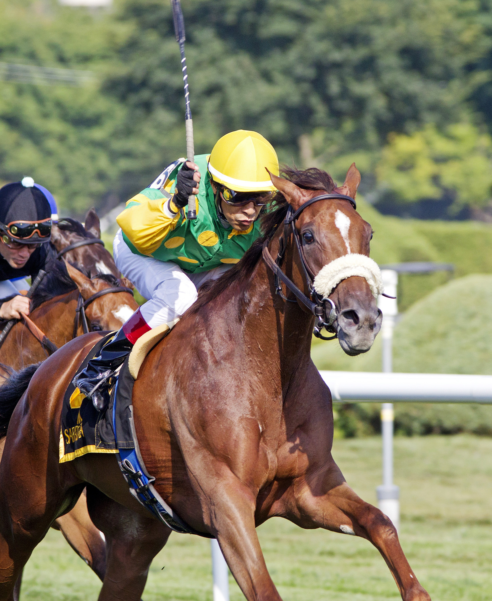 Miss Frost wins the Tenski Stakes