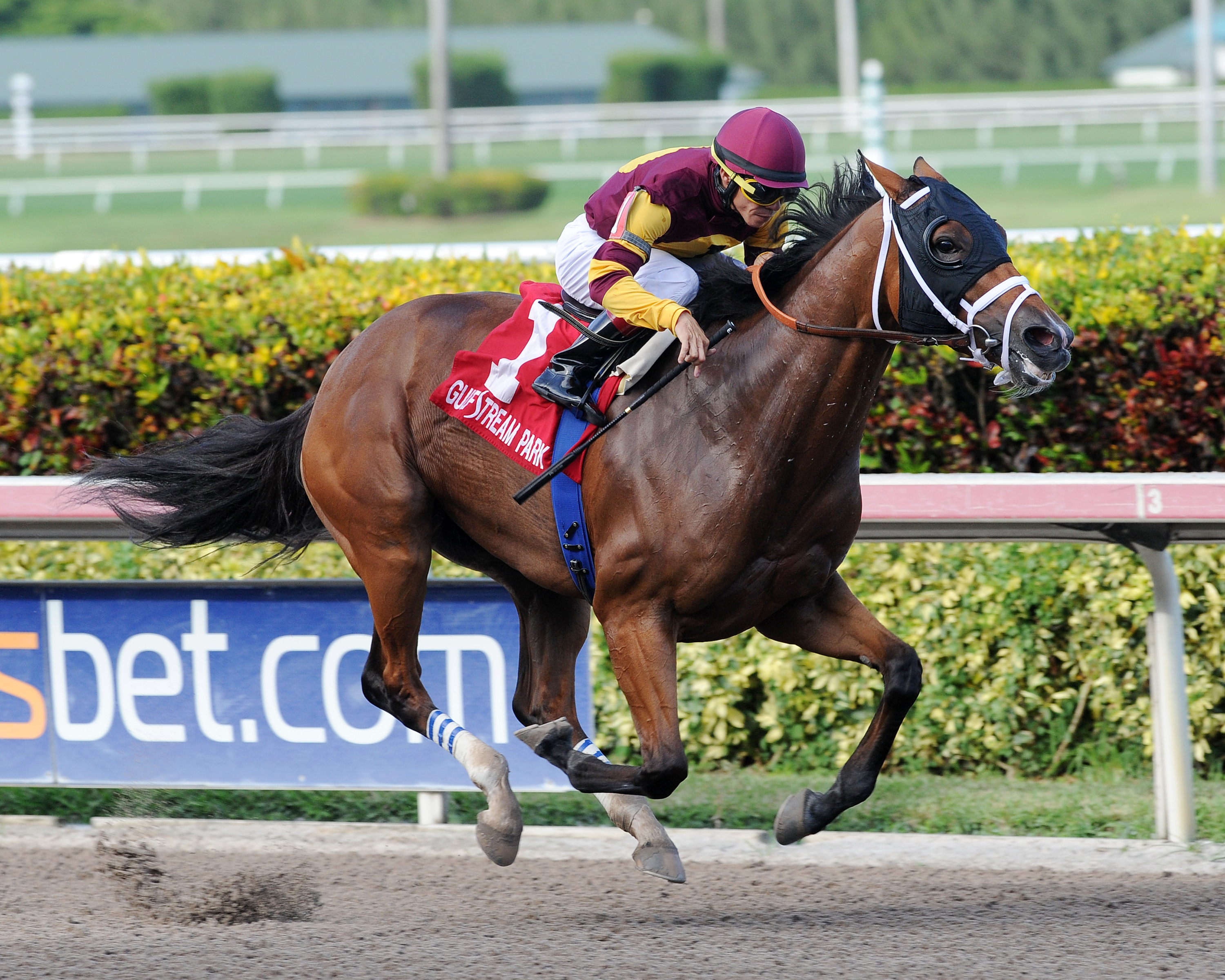 Miss Hollywood wins the Monroe Stakes