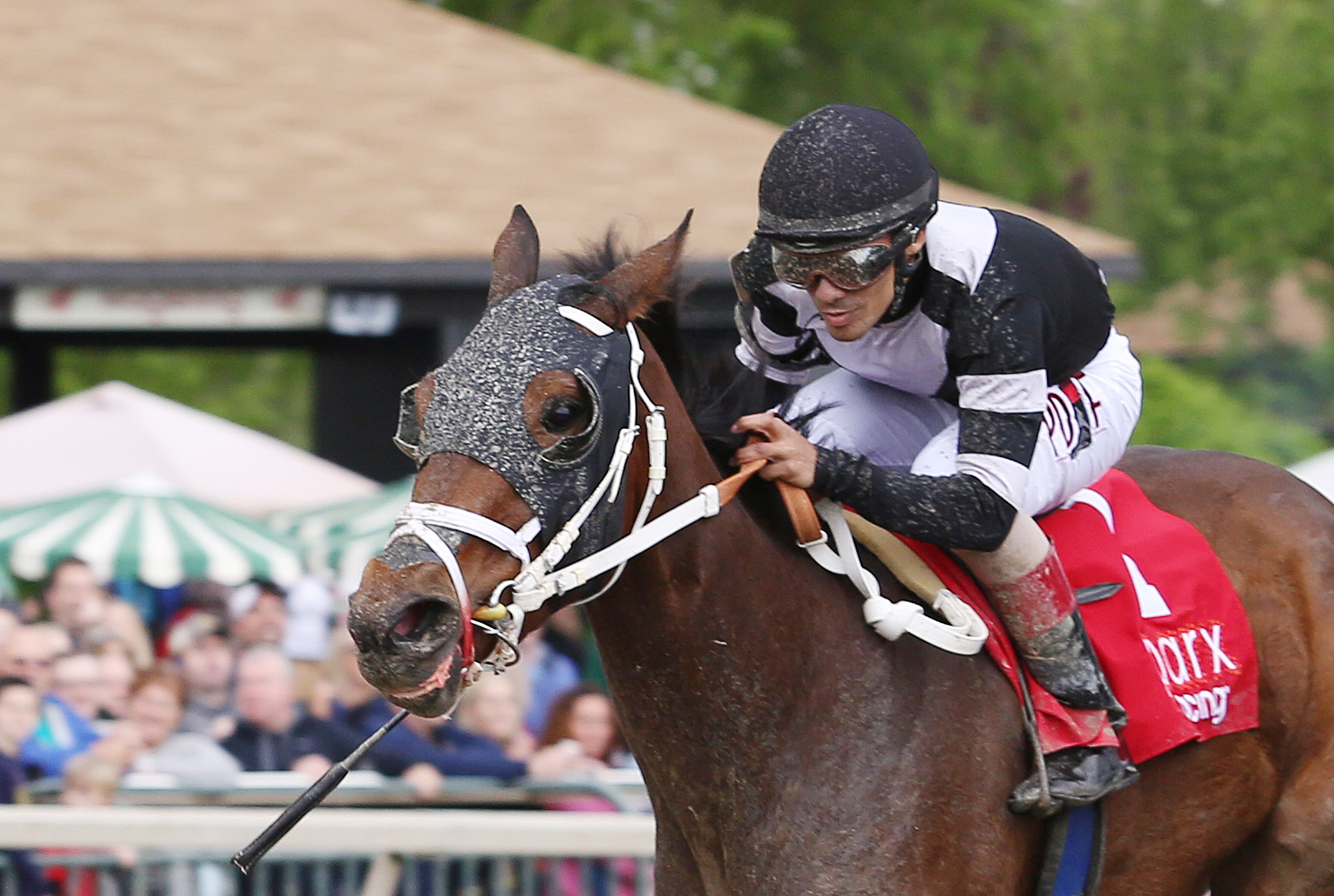 Miss Inclusive wins the Parx Oaks