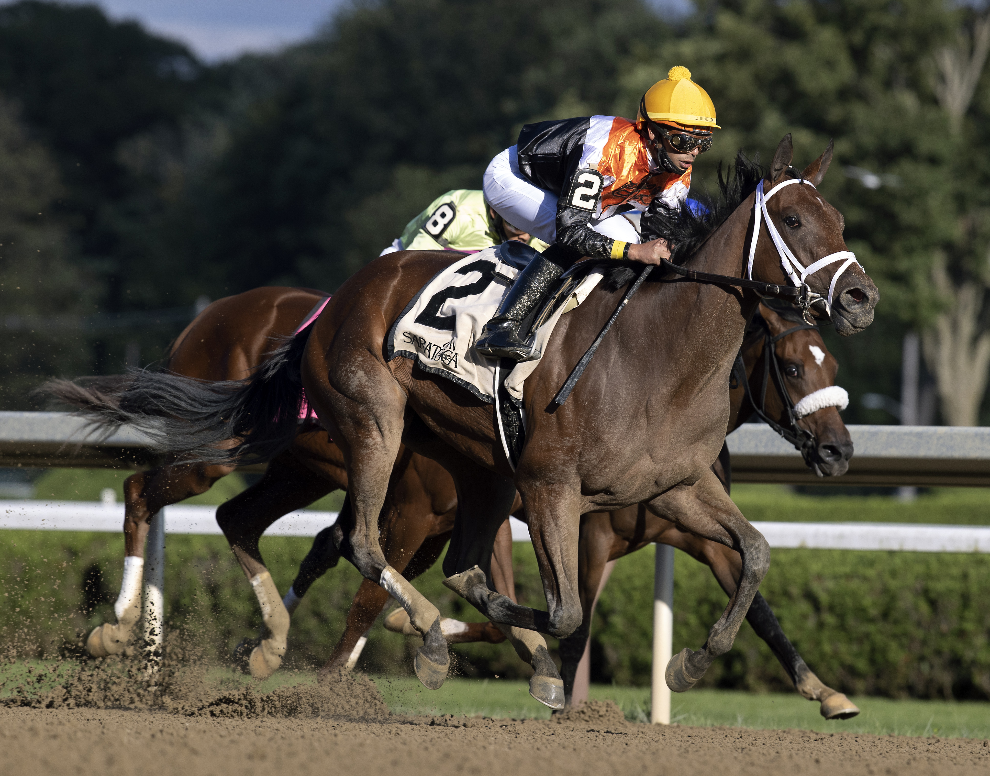 Miss Interpret hace suyo el P.G. Johnson Stakes