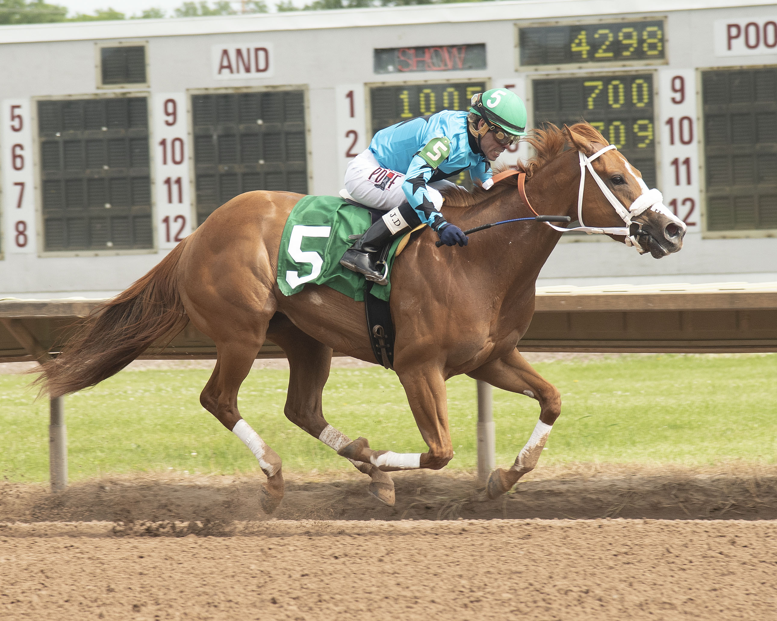 Miss Lily B wins the Niagara Stakes on June 17, 2019