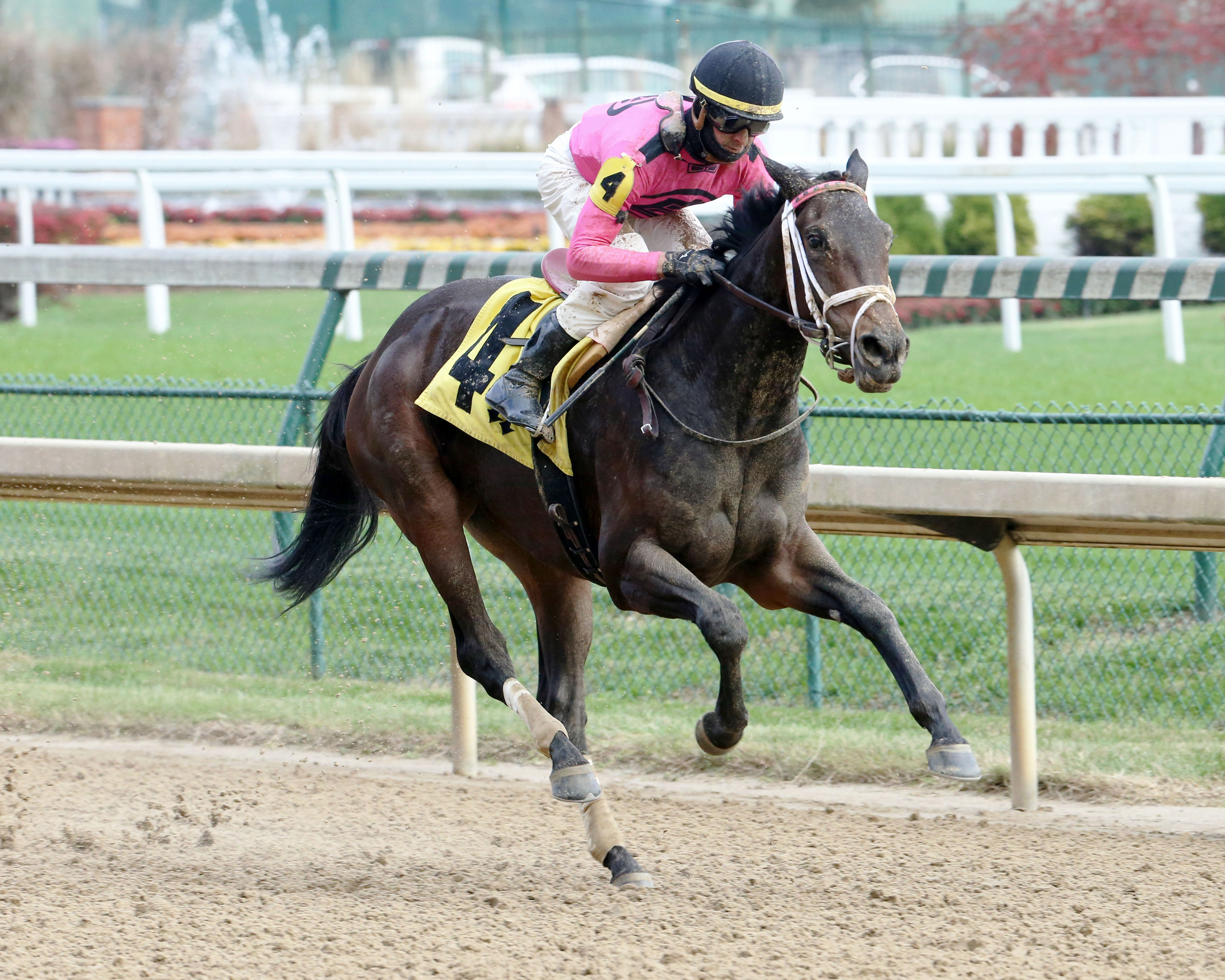 Miss Mo Mentum wins a Nov. 16 allowance