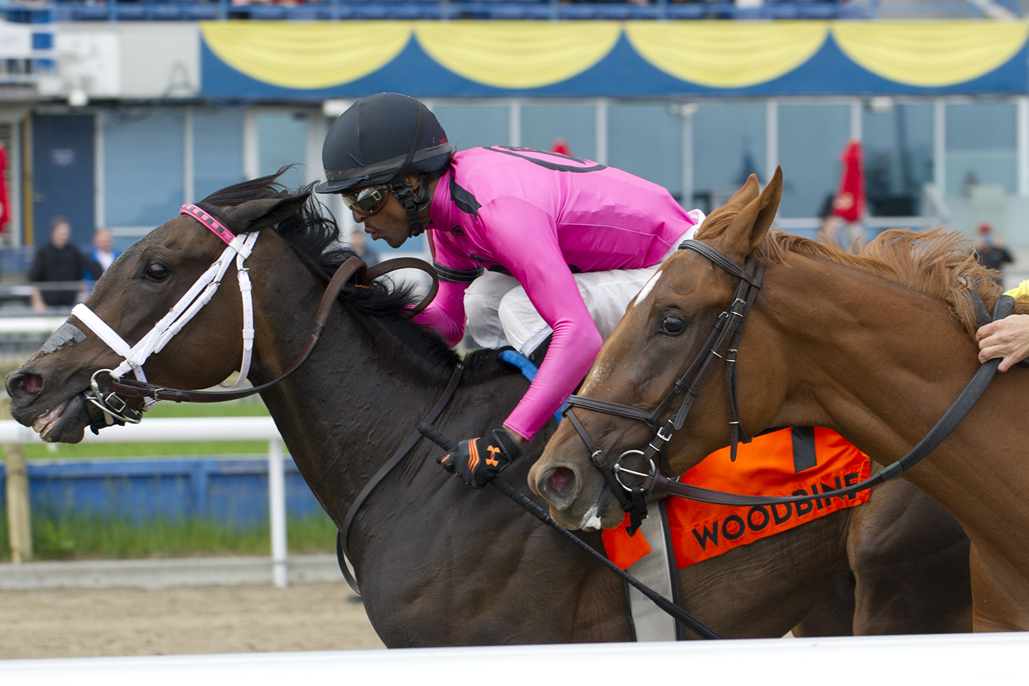 Miss Mo Mentum wins the 2018 Selene Stakes