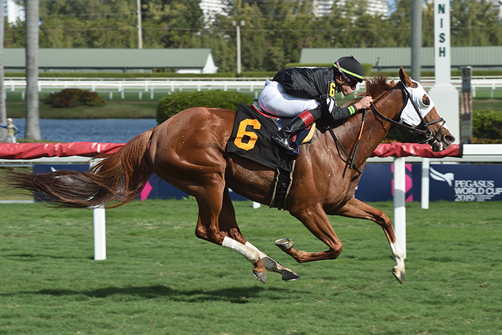 Miss Munnings wins a Feb. 10 allowance at Gulfstream