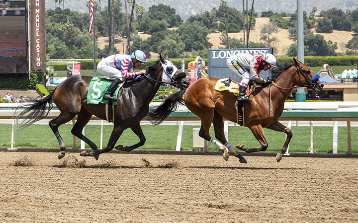 Miss My Rose wins the 2019 Angels Flight via DQ