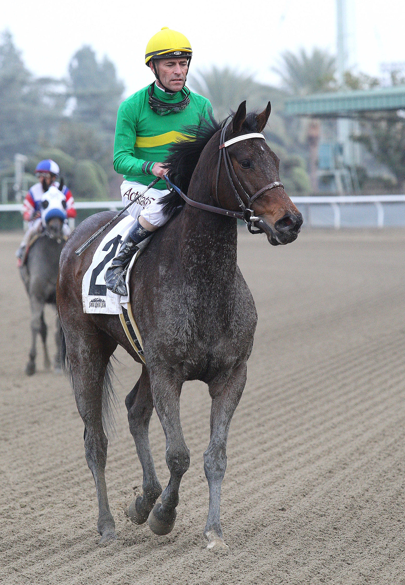 Miss Serendipity in the Paseana Stakes