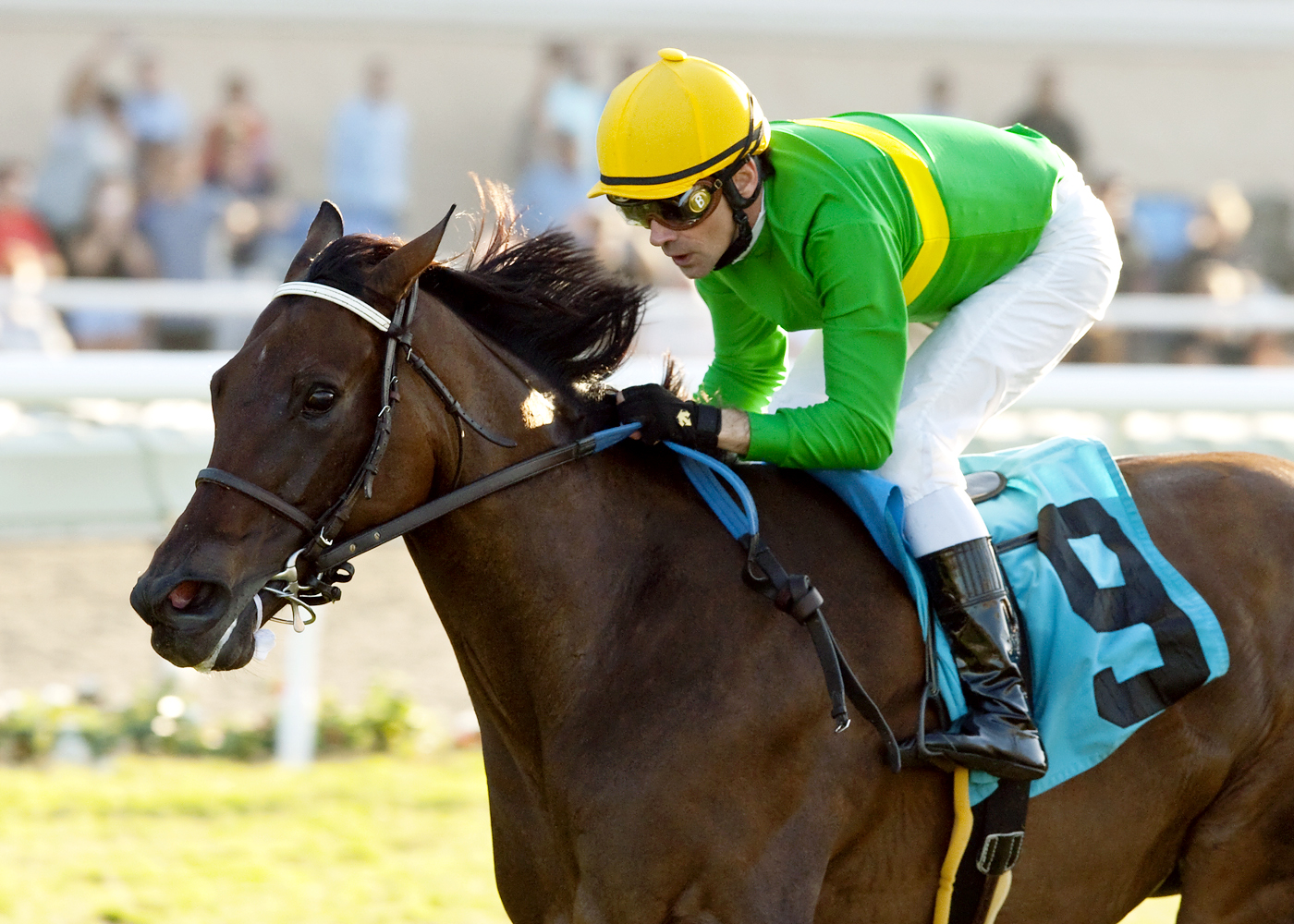 Miss Serendipity wins the Yellow Ribbon Handicap