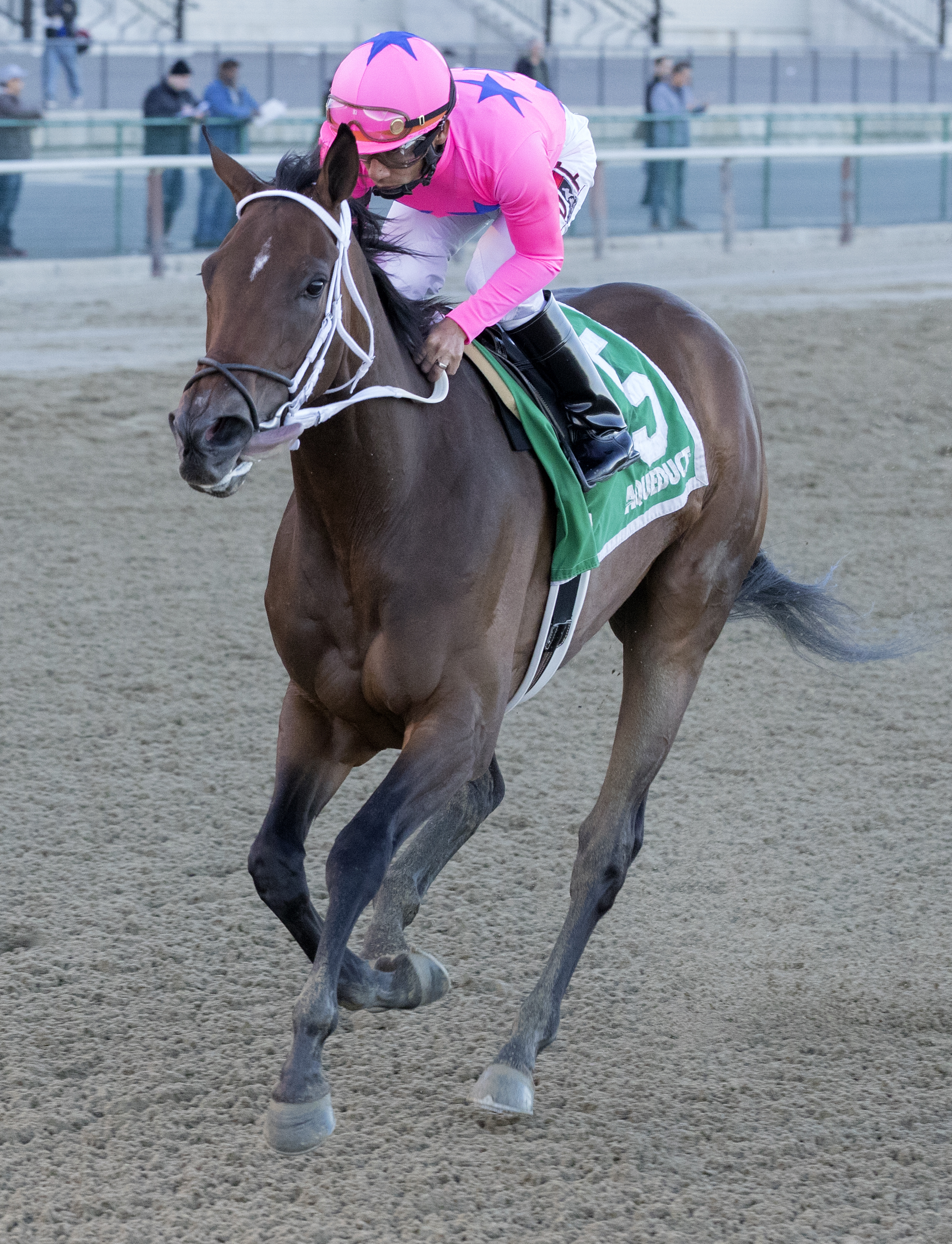 Miss Sky Warrior 4-8-2017