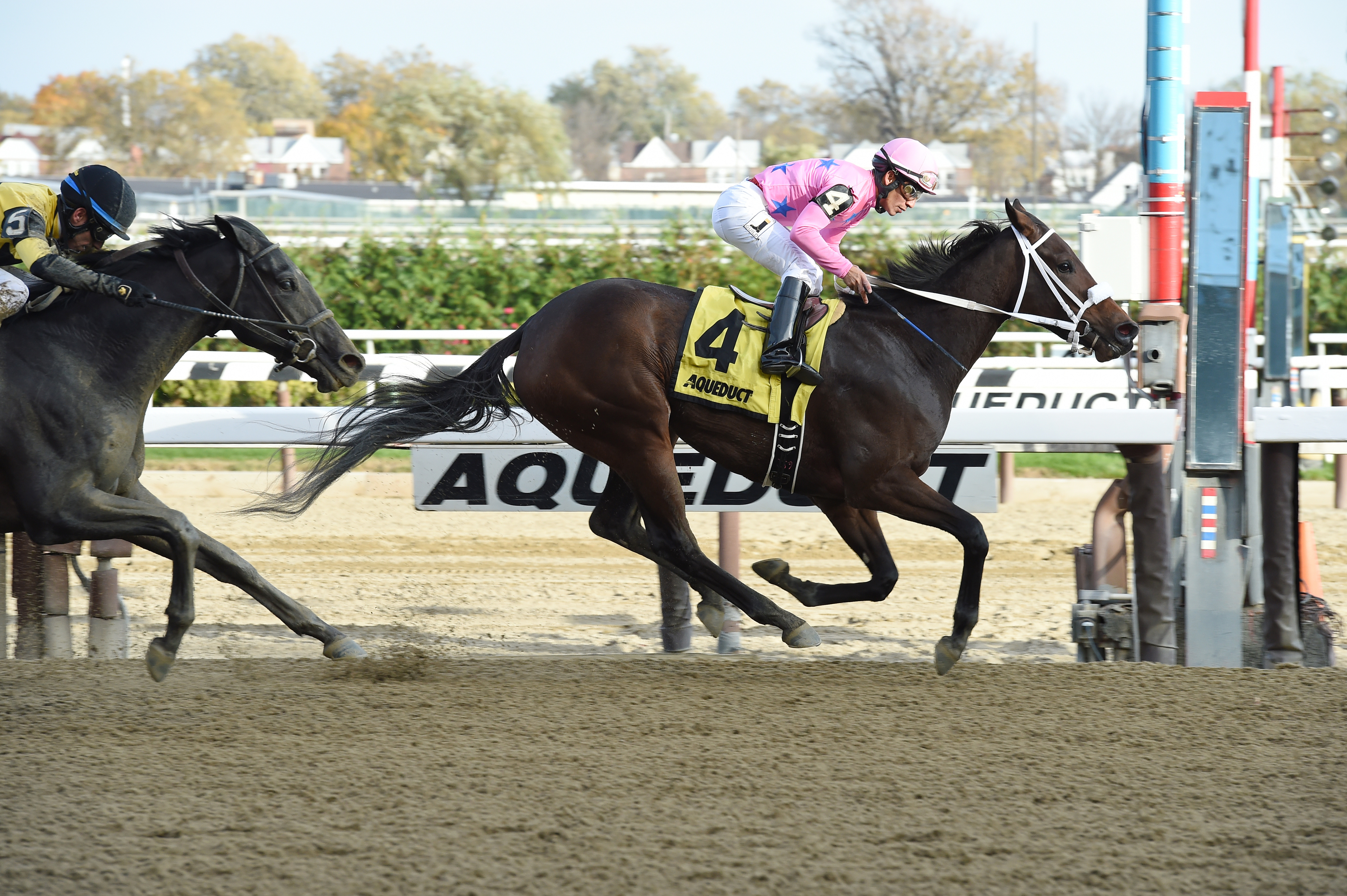 Miss Sky Warrior wins the Tempted Stakes