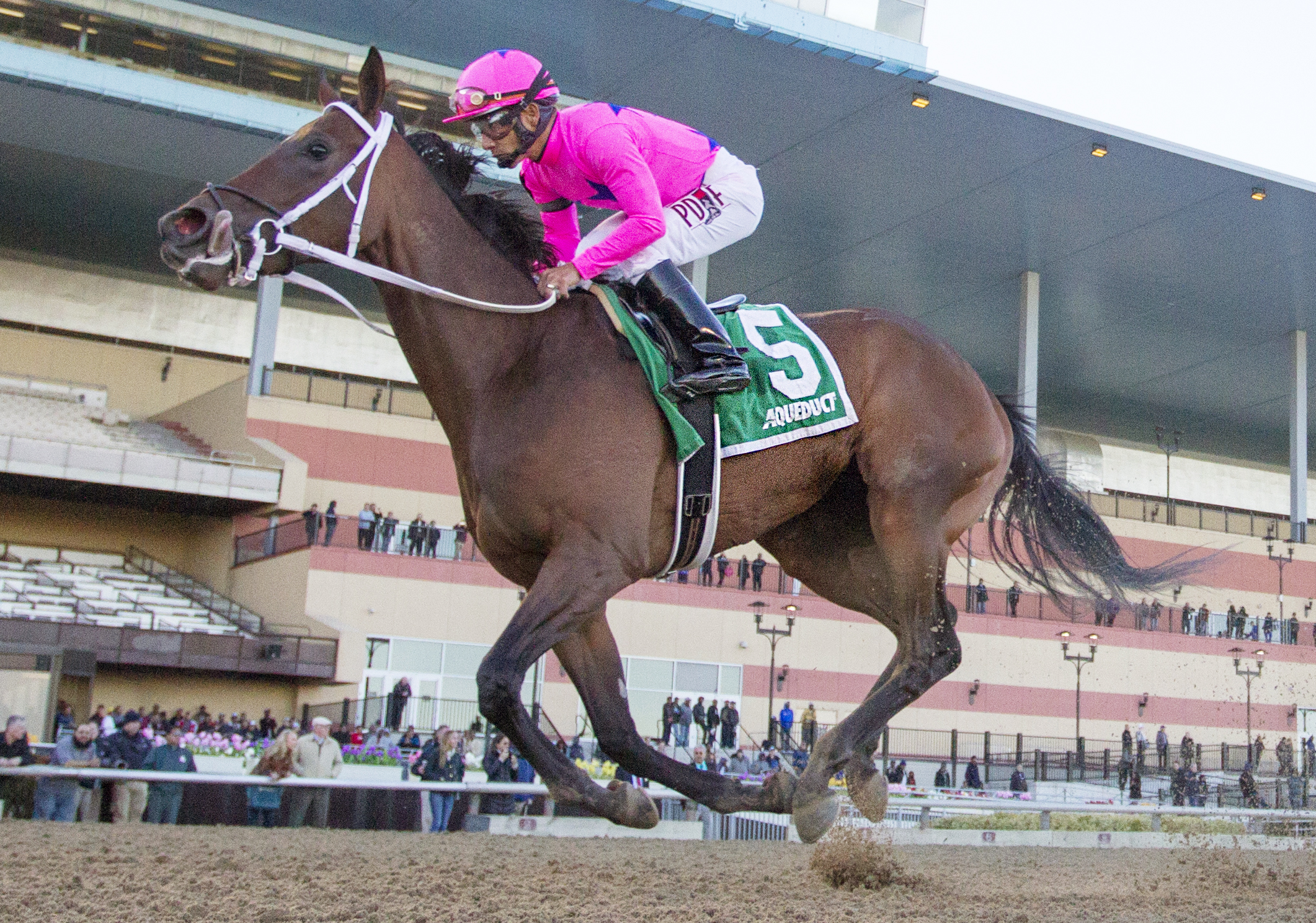 Miss Sky Warrior wins the 2017 Gazelle Stakes