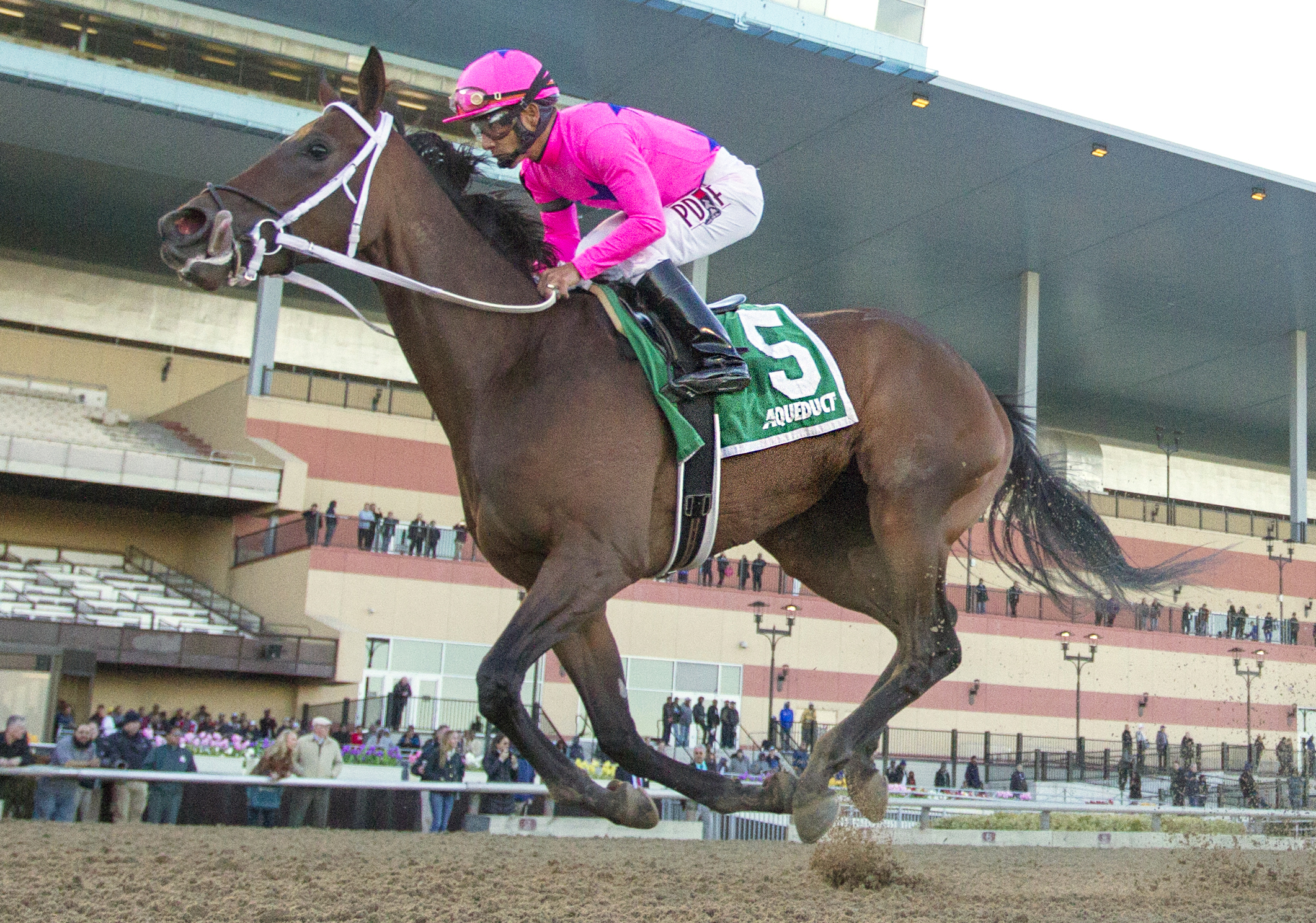 Miss Sky Warrior wins the 2017 Gazelle Stakes