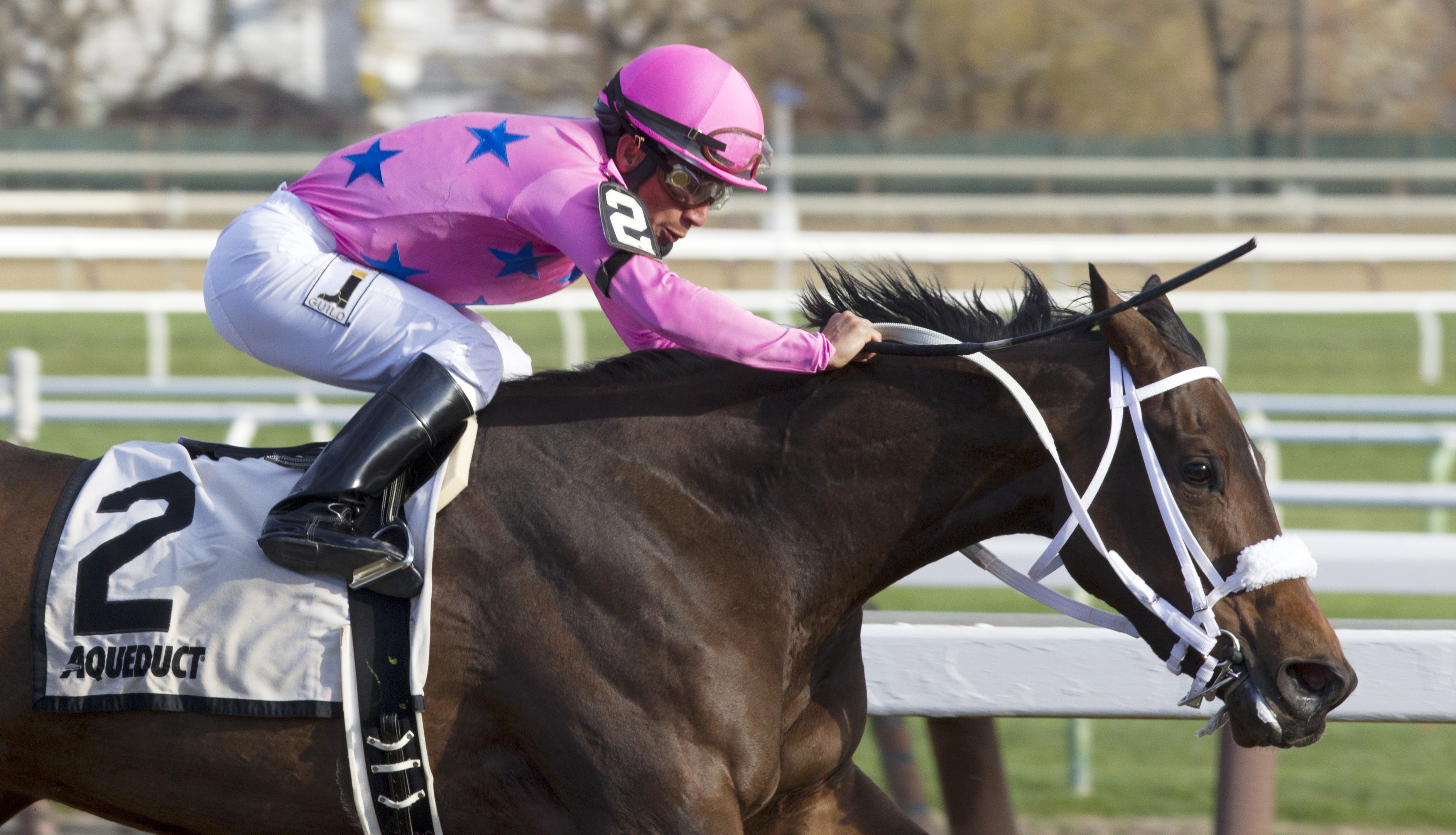 Miss Sky Warrior wins the Demoiselle