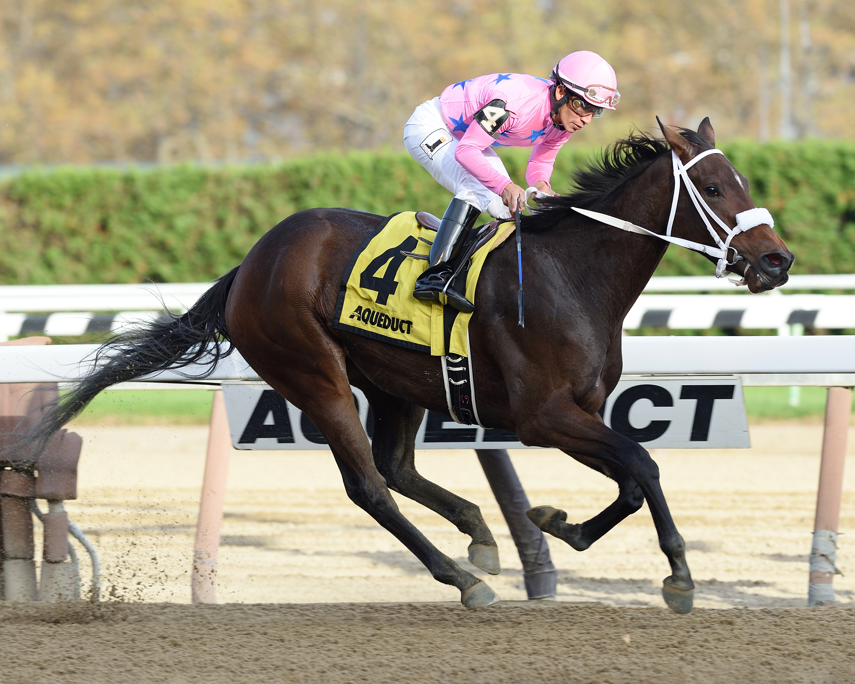 Miss Sky Warrior wins the Tempted Stakes