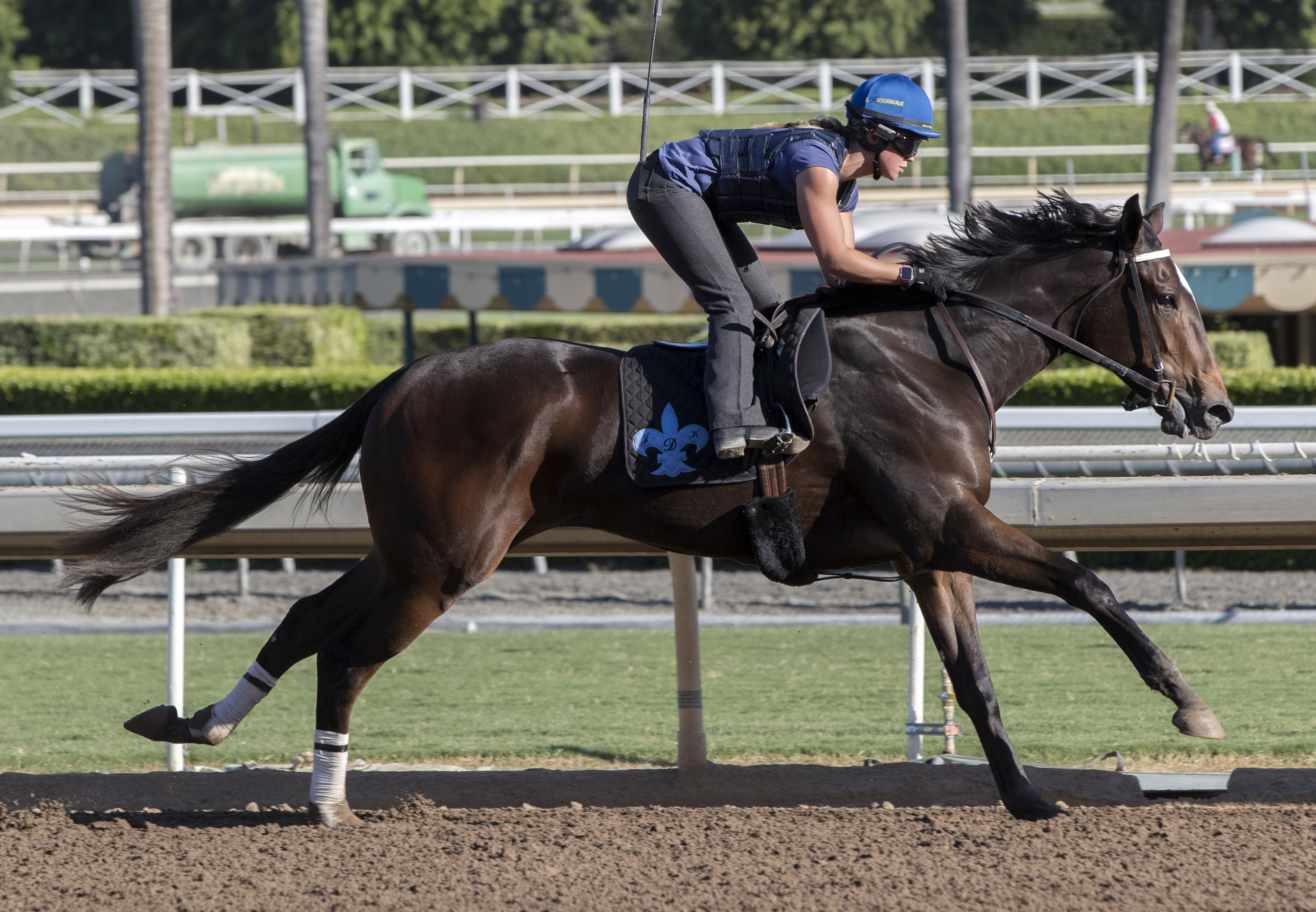 Miss Southern Miss trains at Santa Anita on Oct. 22