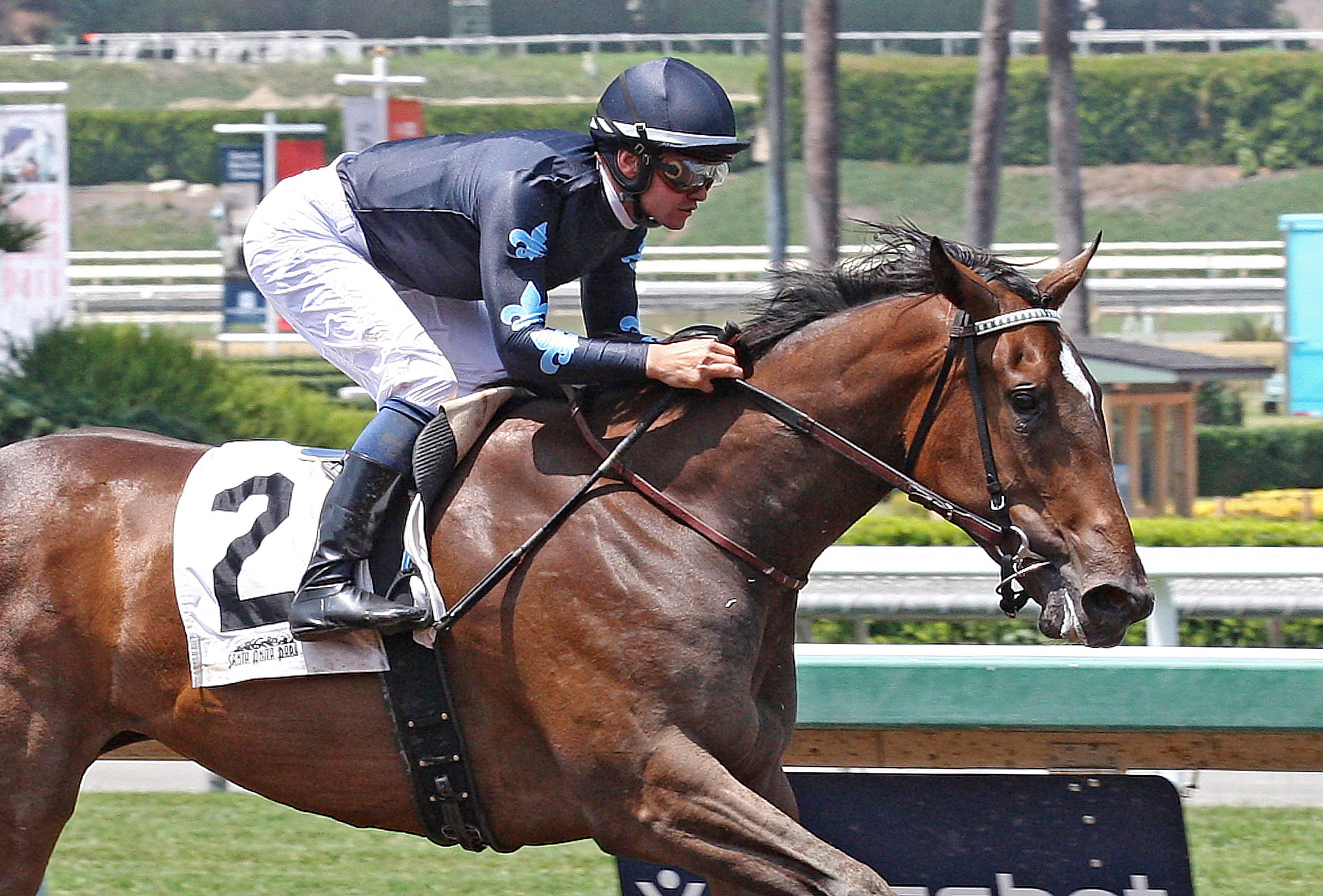 Miss Southern Miss wins a maiden race