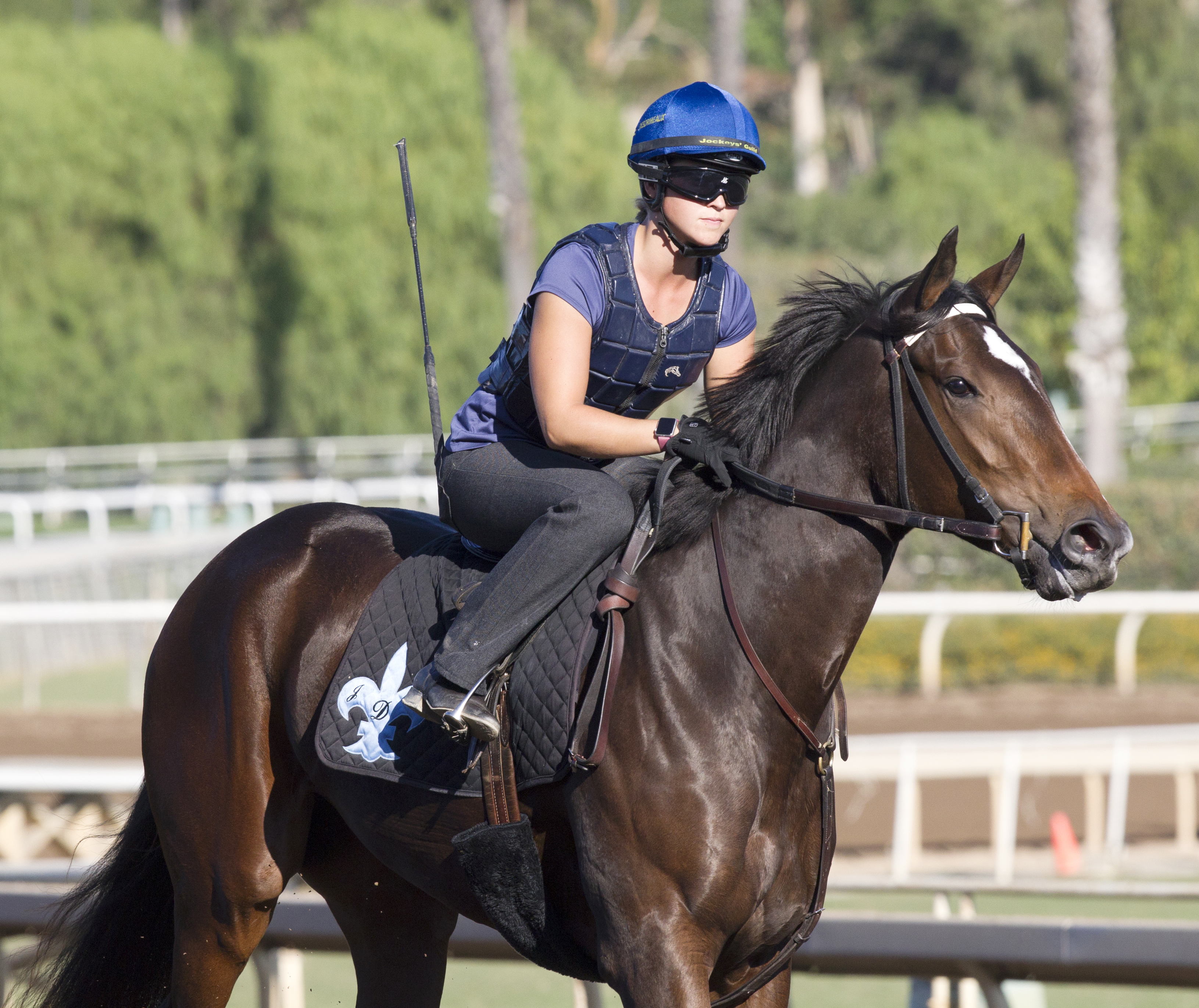 Miss Southern Miss trains at Santa Anita on Oct. 22