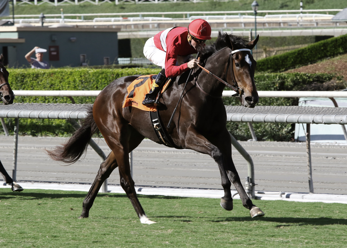 Miss Southern Miss wins the Surfer Girl Stakes
