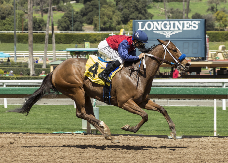 Miss Sunset wins the 2018 Irish O-Brien Stakes