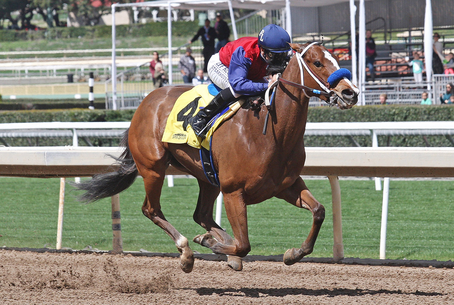 Miss Sunset wins the Irish O-Brien Stakes