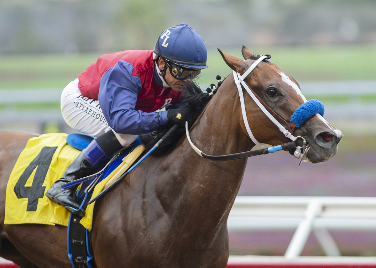 Miss Sunset wins the 2018 CERF Stakes