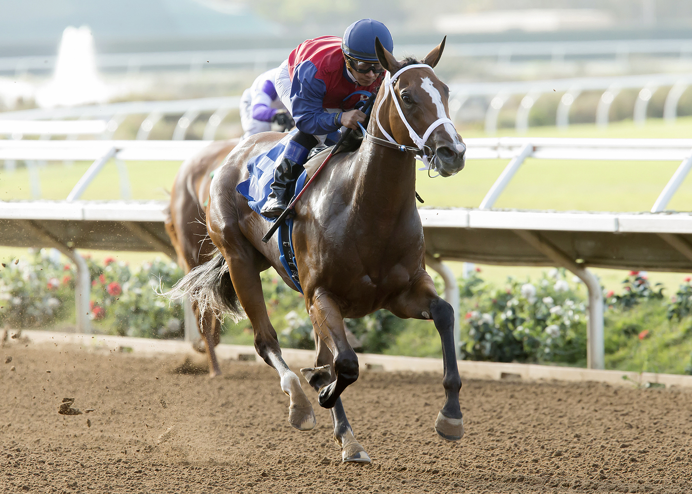 Miss Sunset wins the Generous Portion Stakes