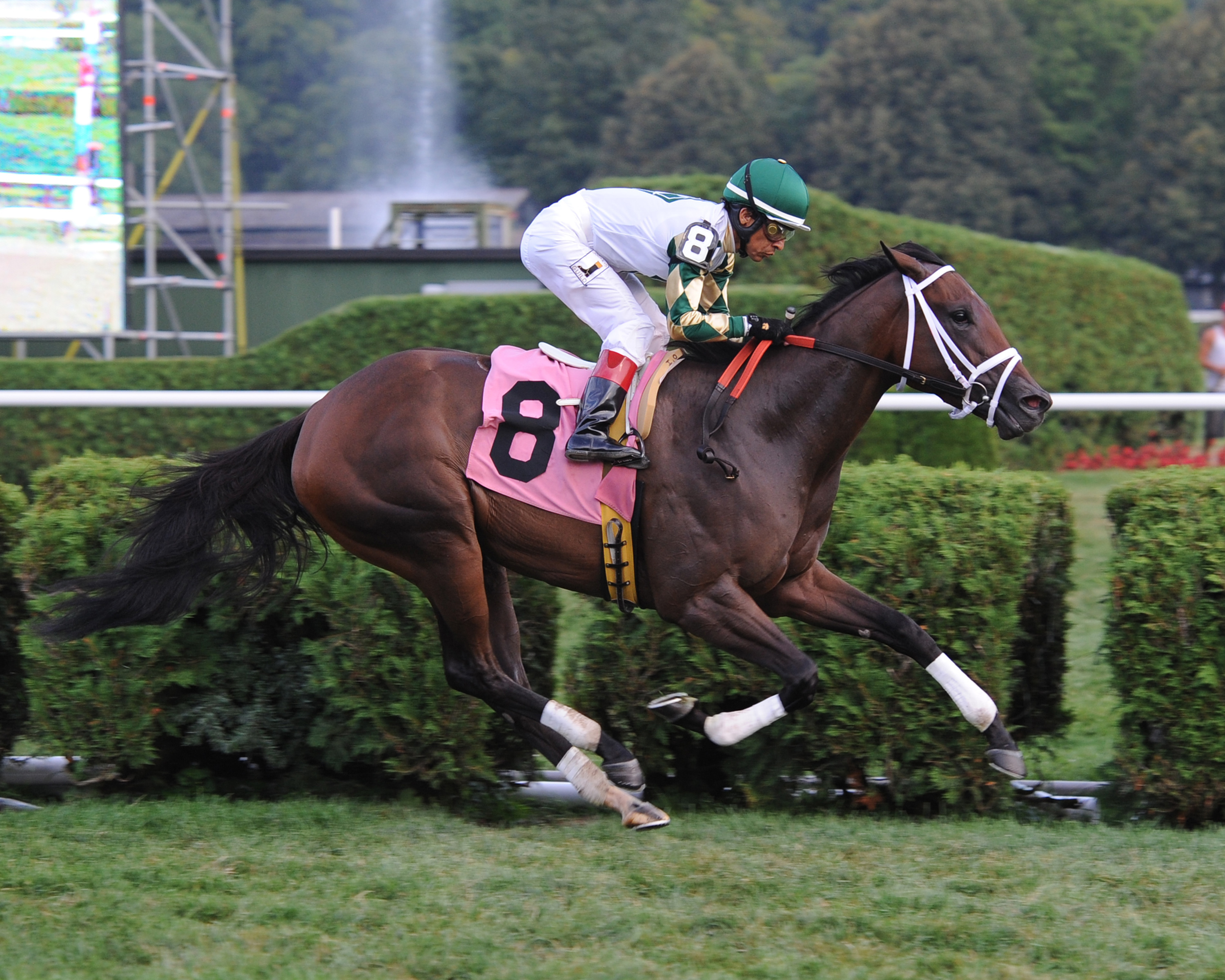 Miss Suwanee, maiden win