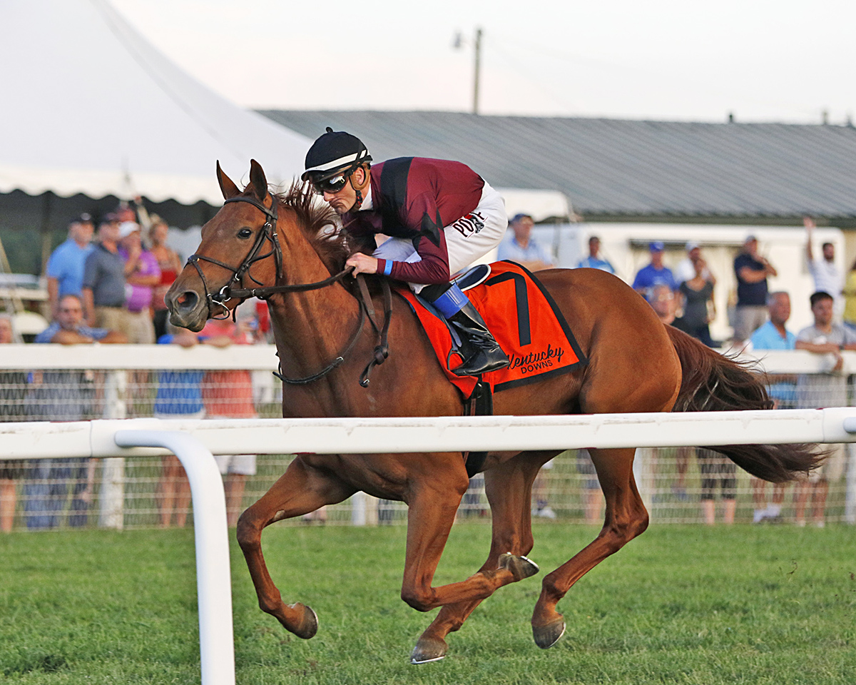 Miss Technicality wins the 2018 Juvenile Fillies Stakes