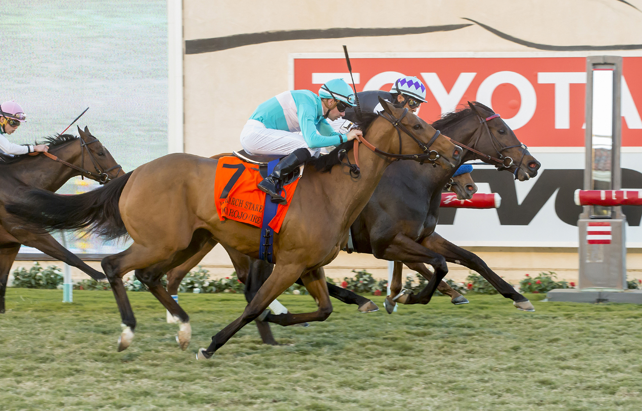 Miss Temple City wins the Matriarch Stakes