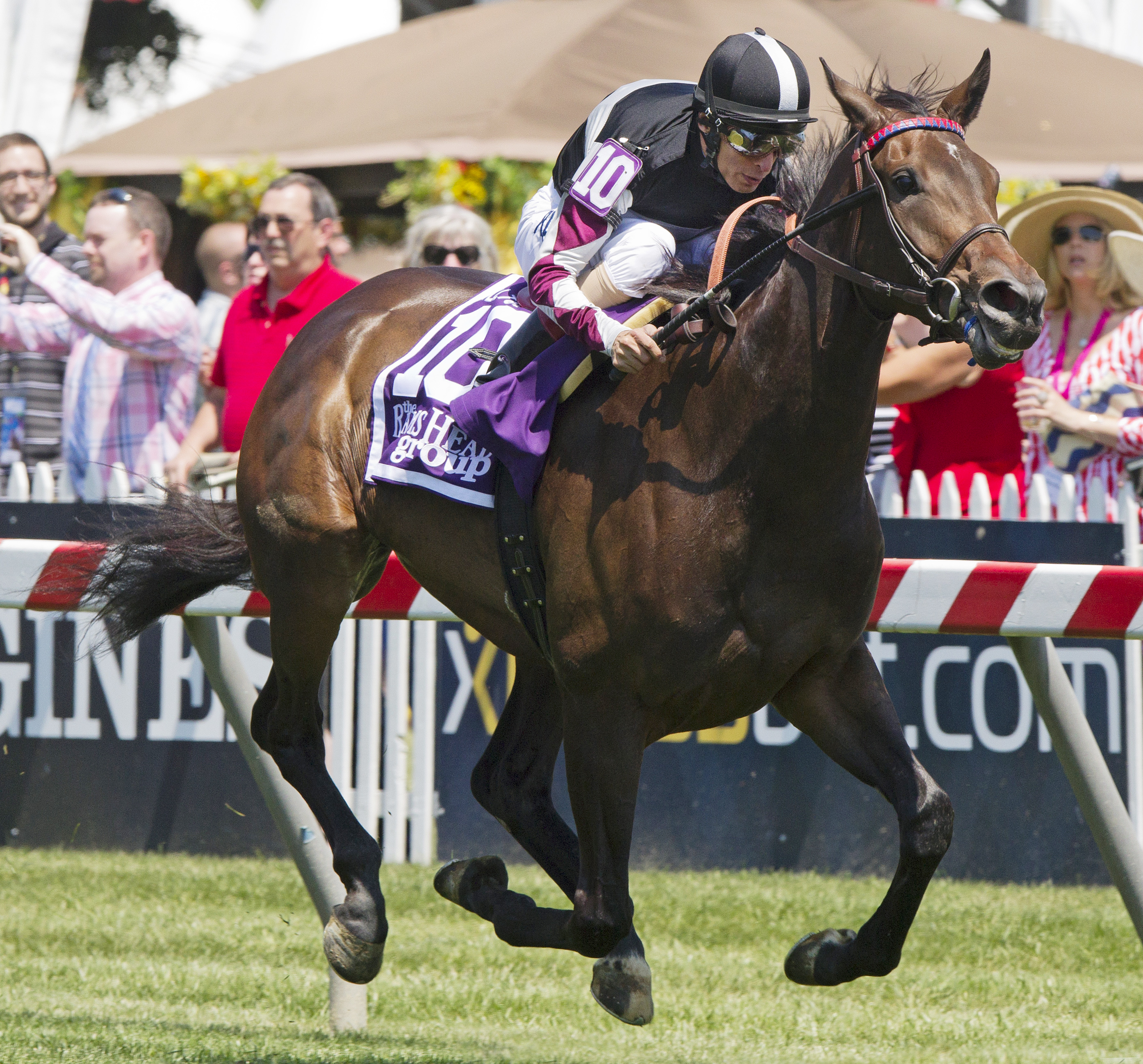 Miss Temple City wins the Hilltop Stakes