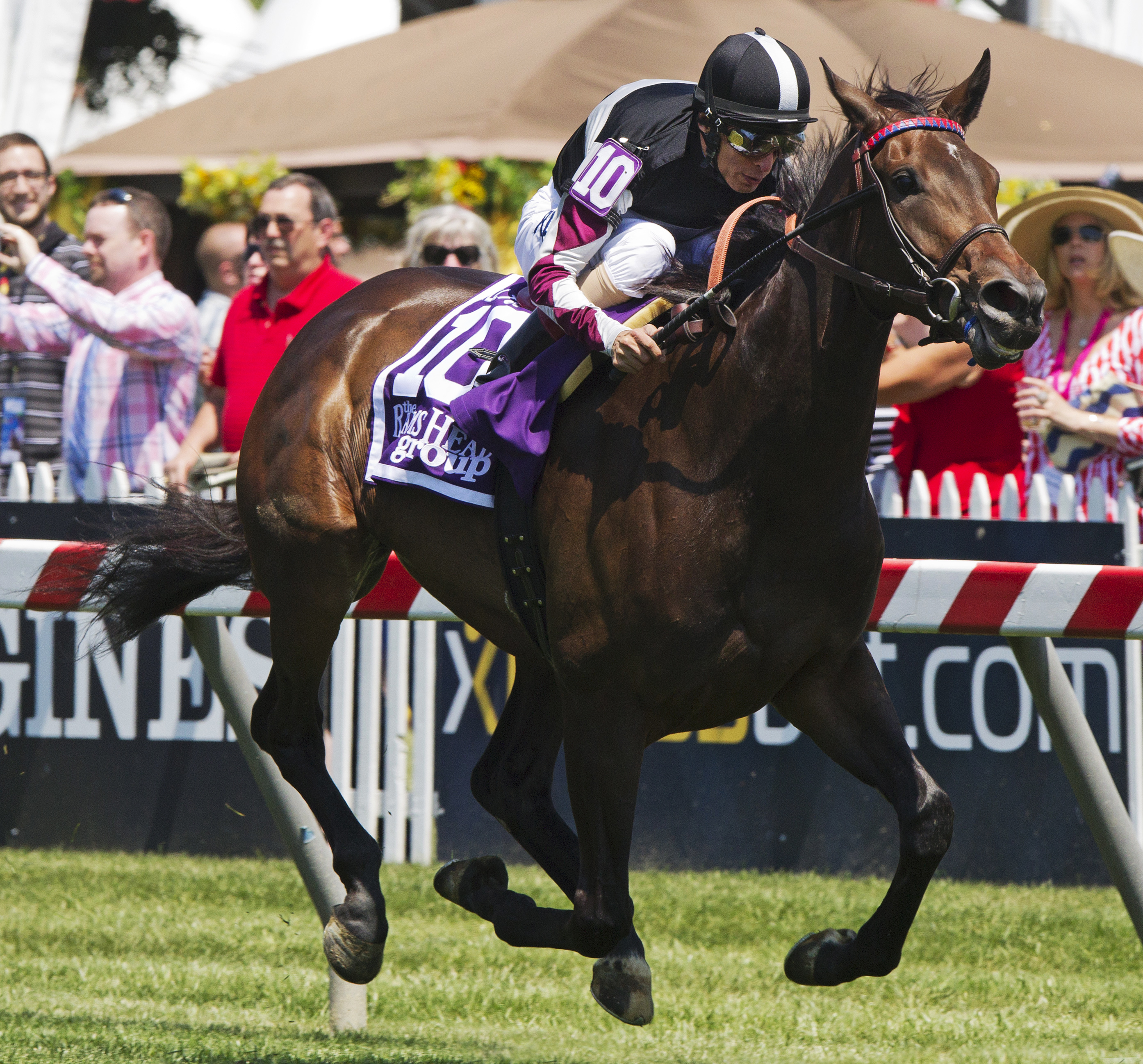 Miss Temple City wins the Hilltop Stakes