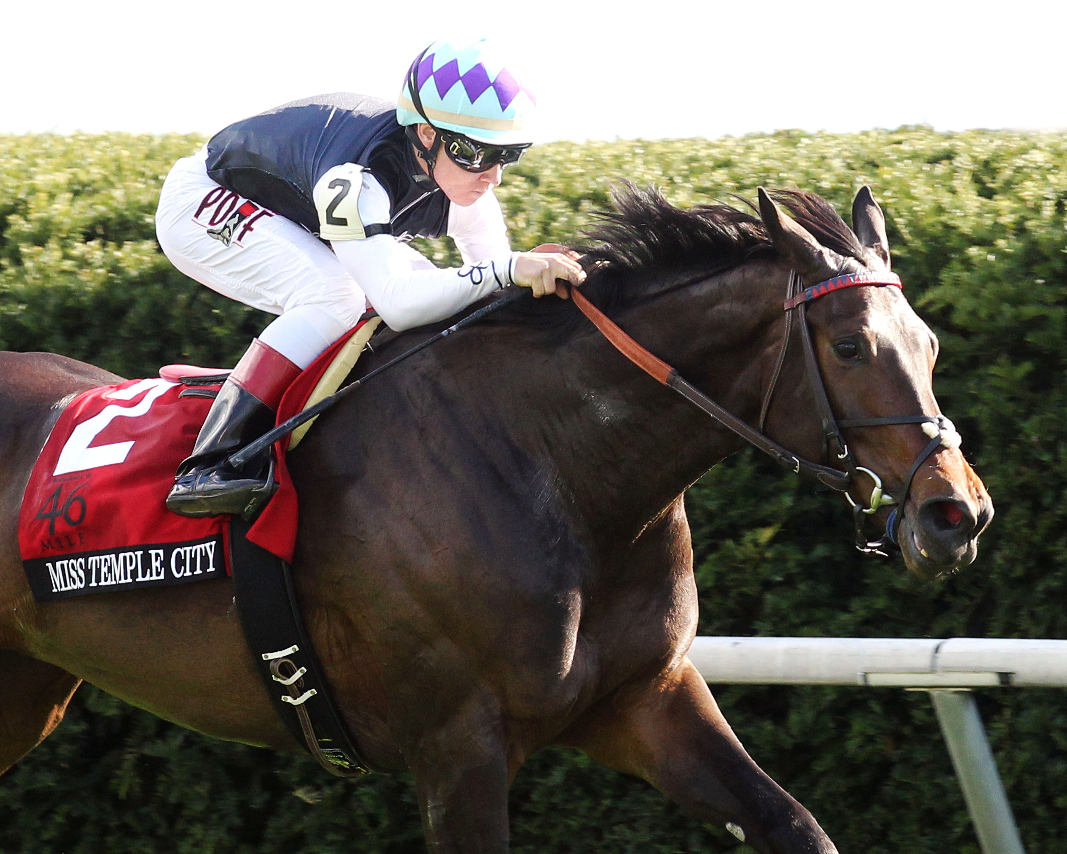 Miss Temple City wins the Maker's 46 Mile