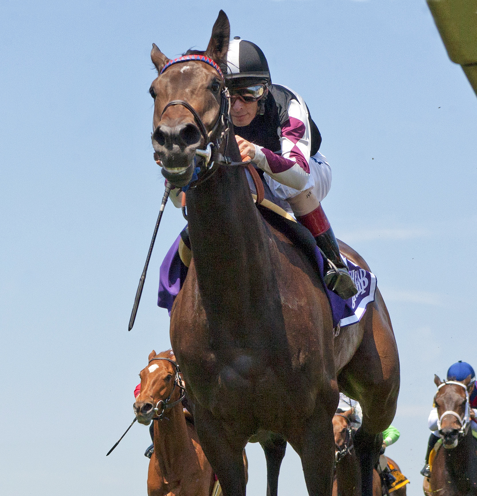Miss Temple City wins the Hilltop Stakes