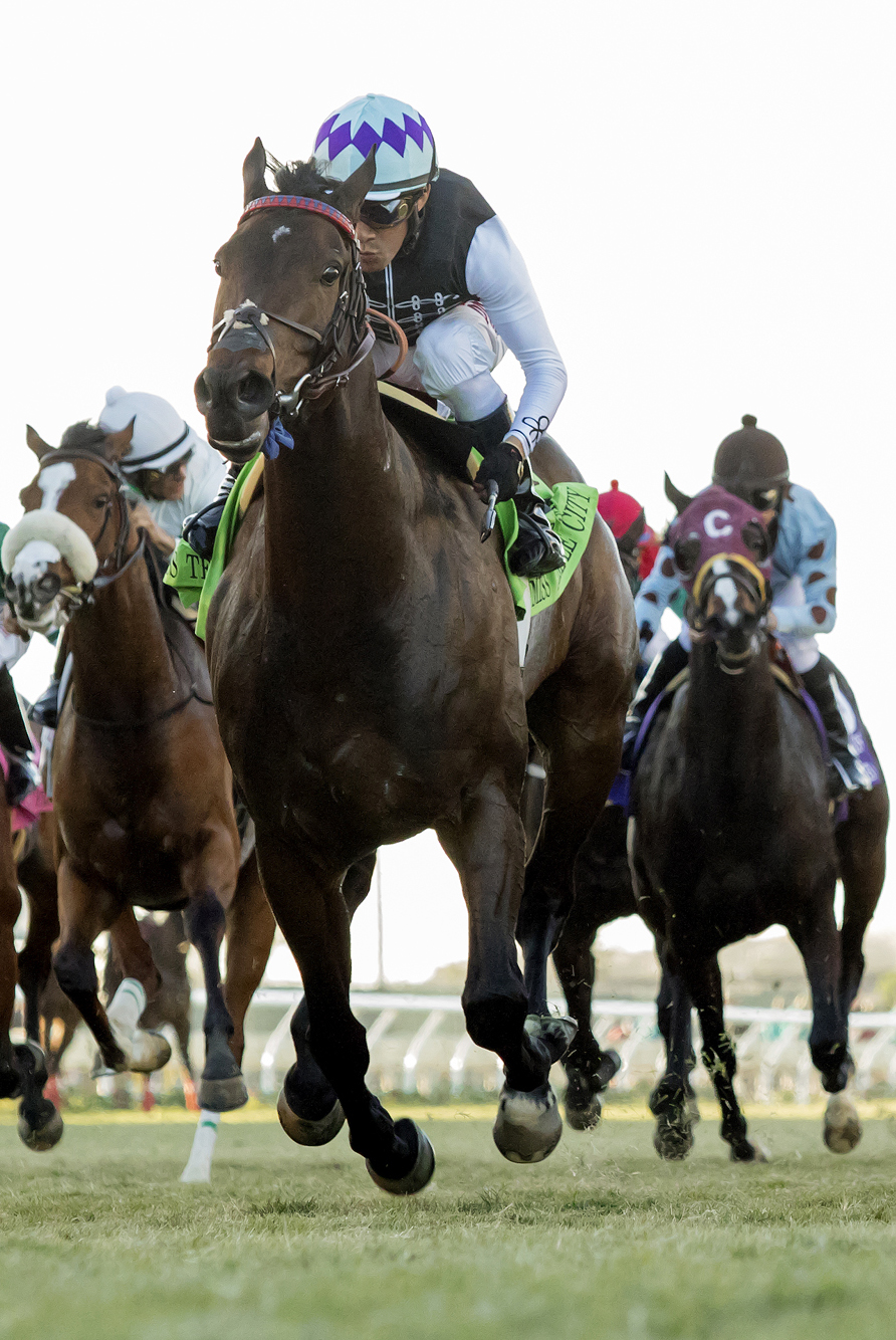 Miss Temple City wins the Matriarch Stakes