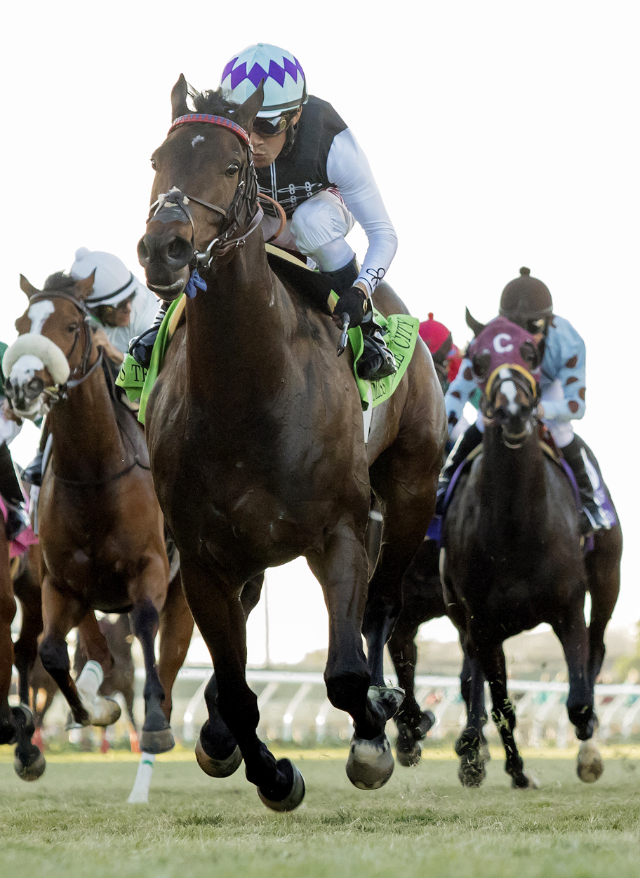 Miss Temple City wins the Matriarch Stakes