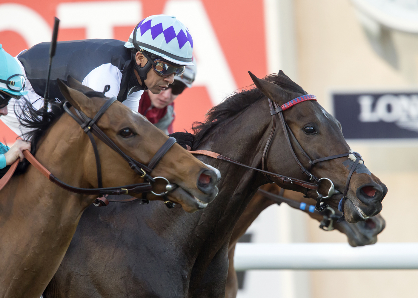 Miss Temple City wins the Matriarch