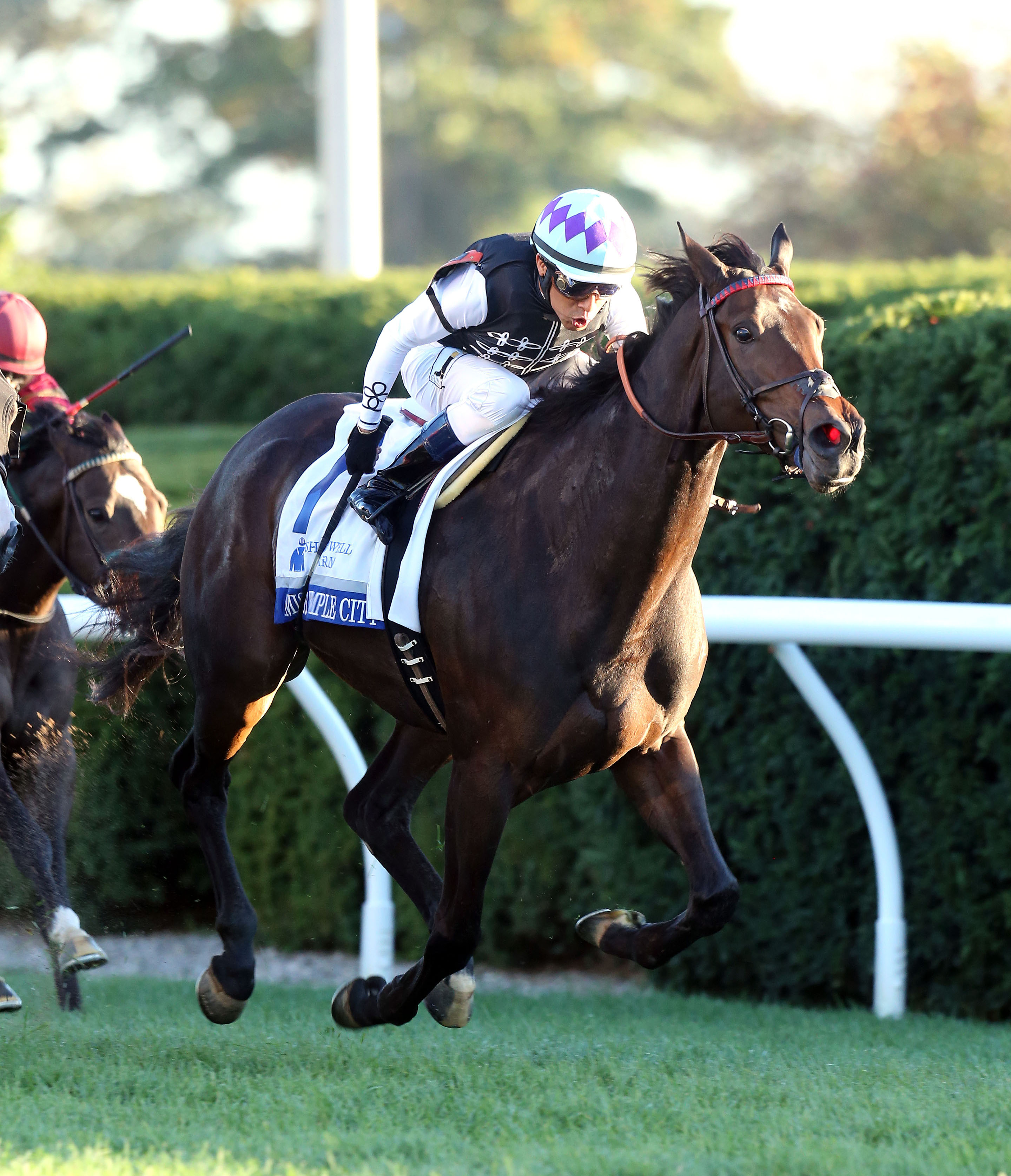 Miss Temple City wins the Shadwell Turf Mile