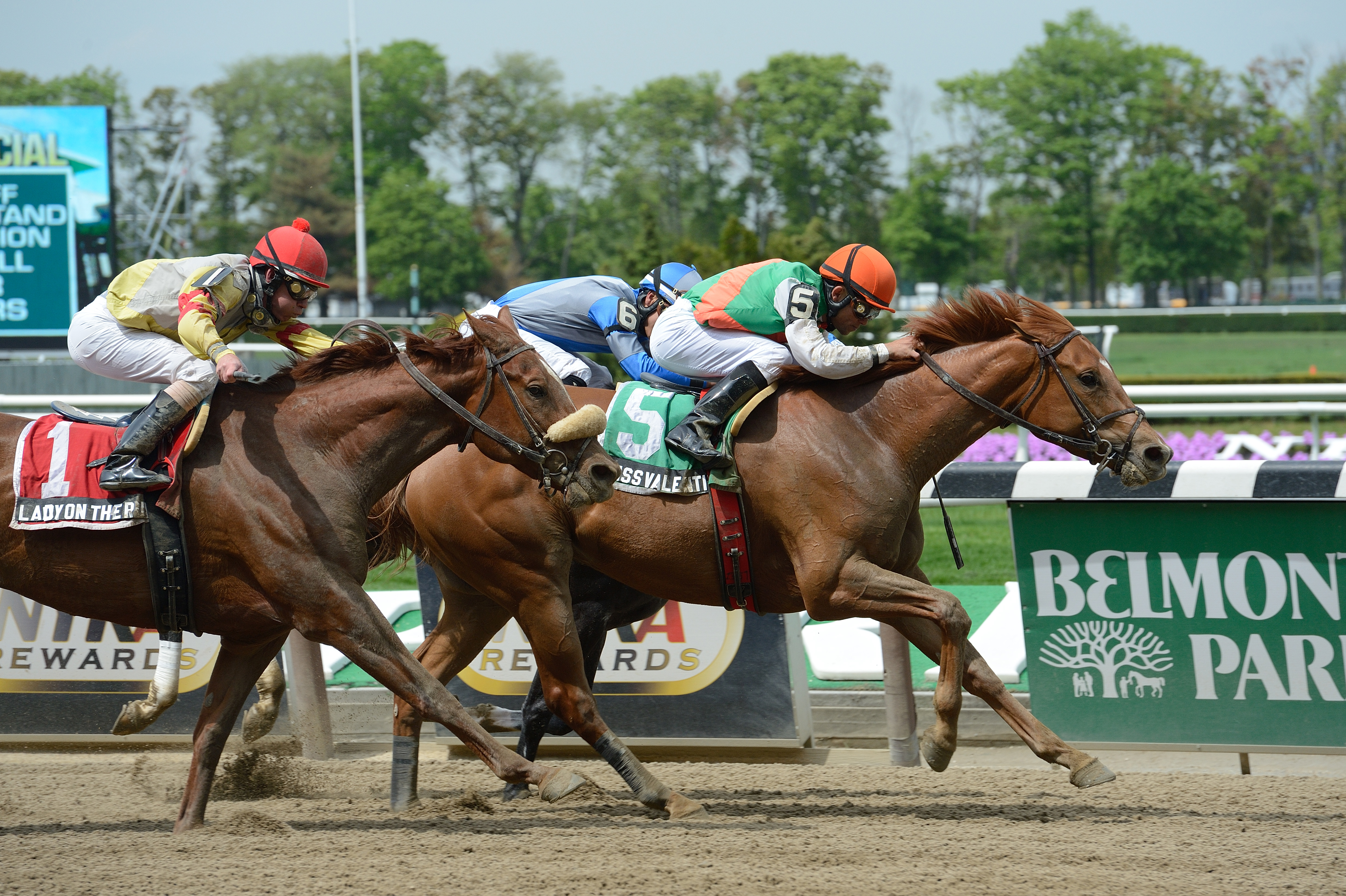 Miss Valentine, No Reason Stakes