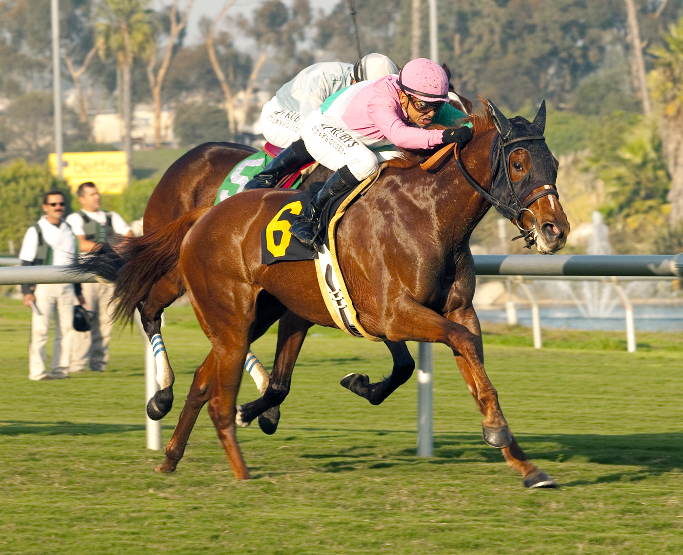 Miss Well Molded wins an optional claimer